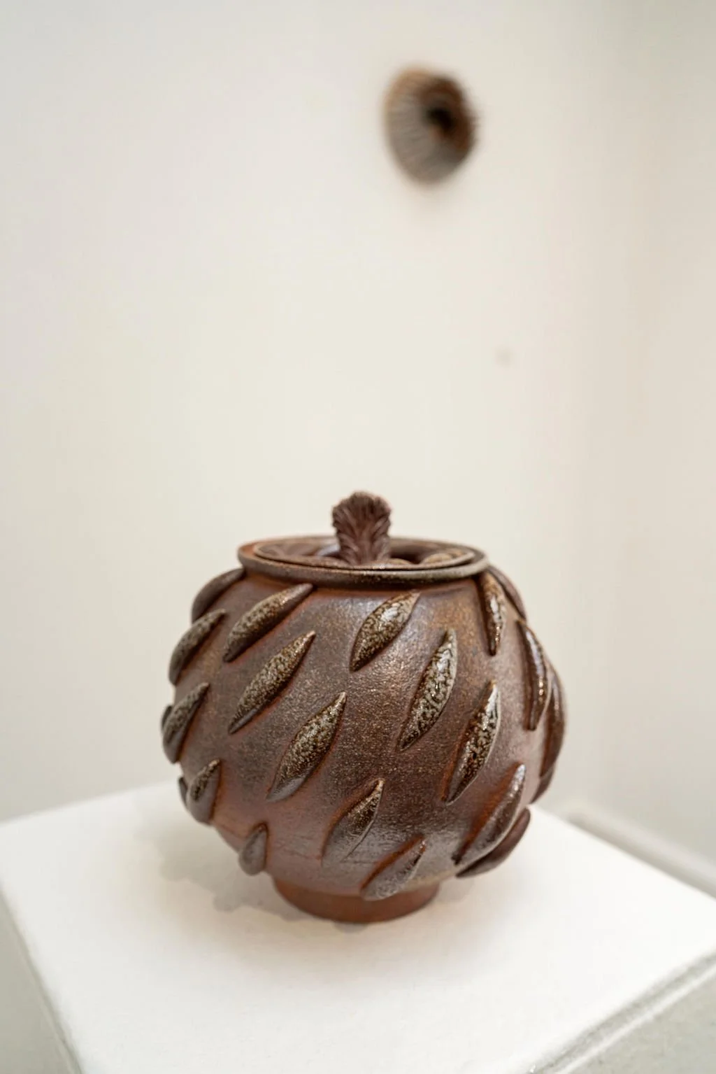 mendocino_art_center_april_2026_nik_z_photo-27.jpg