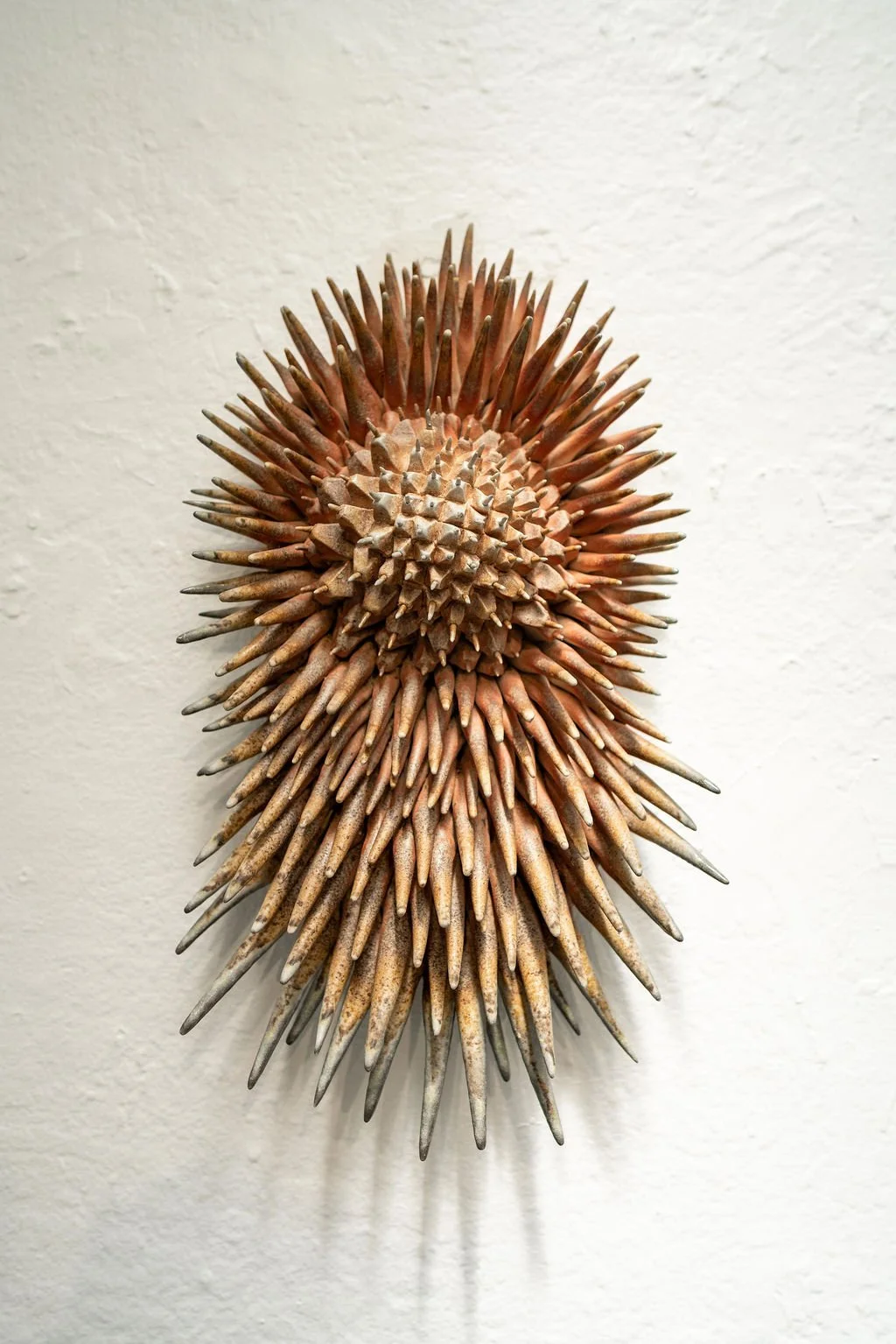 mendocino_art_center_april_2026_nik_z_photo-29.jpg