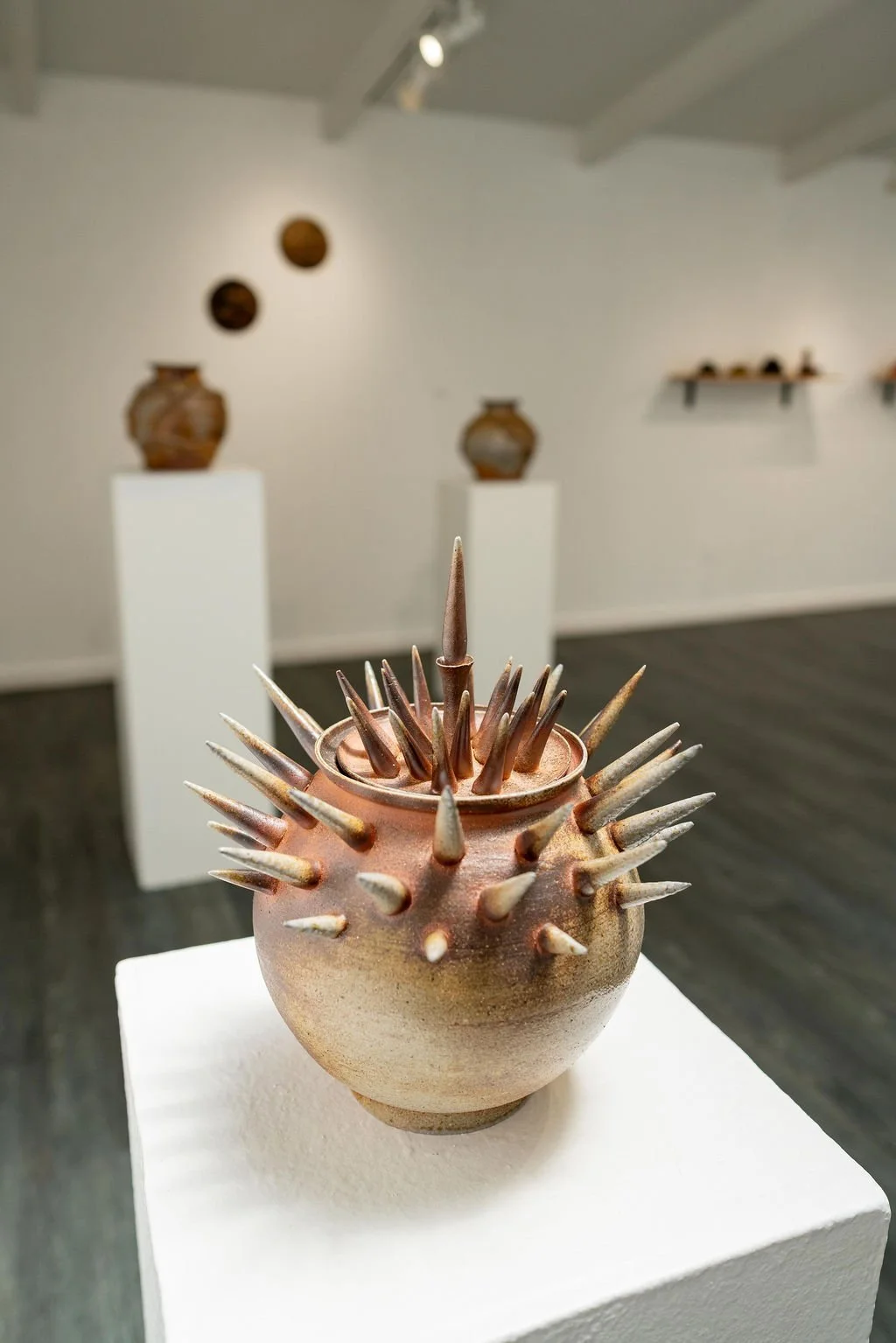 mendocino_art_center_april_2026_nik_z_photo-30.jpg