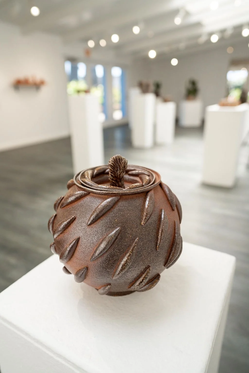 mendocino_art_center_april_2026_nik_z_photo-31.jpg