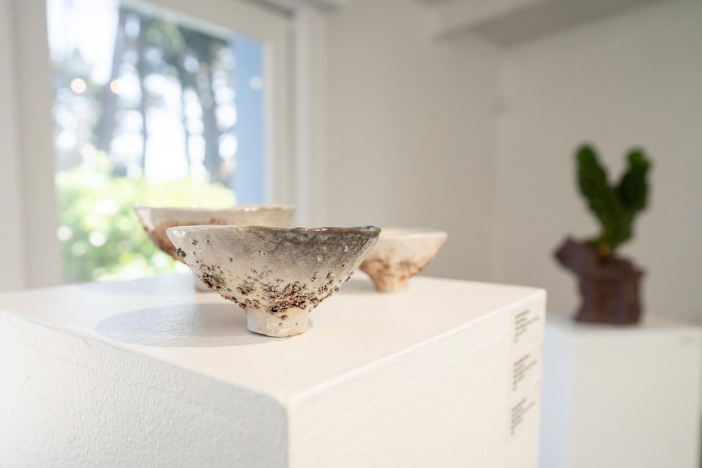 mendocino_art_center_april_2026_nik_z_photo-33.jpg