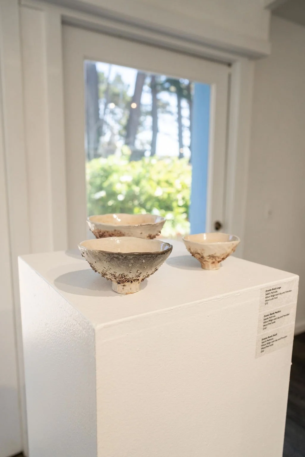 mendocino_art_center_april_2026_nik_z_photo-34.jpg