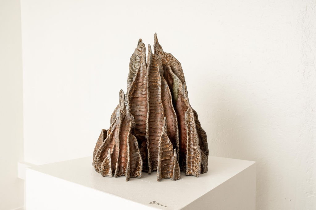 mendocino_art_center_april_2026_nik_z_photo-38.jpg