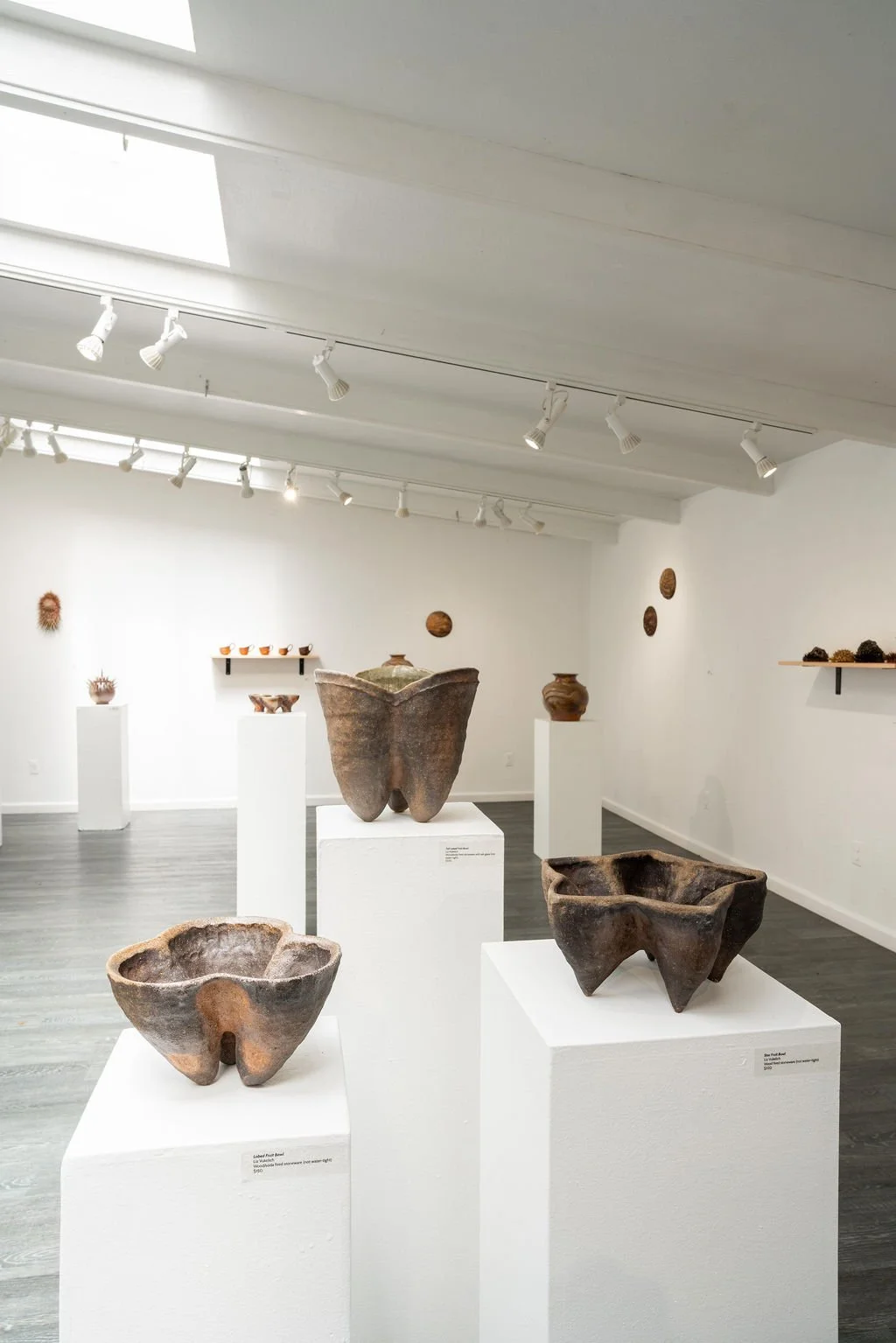 mendocino_art_center_april_2026_nik_z_photo-39.jpg