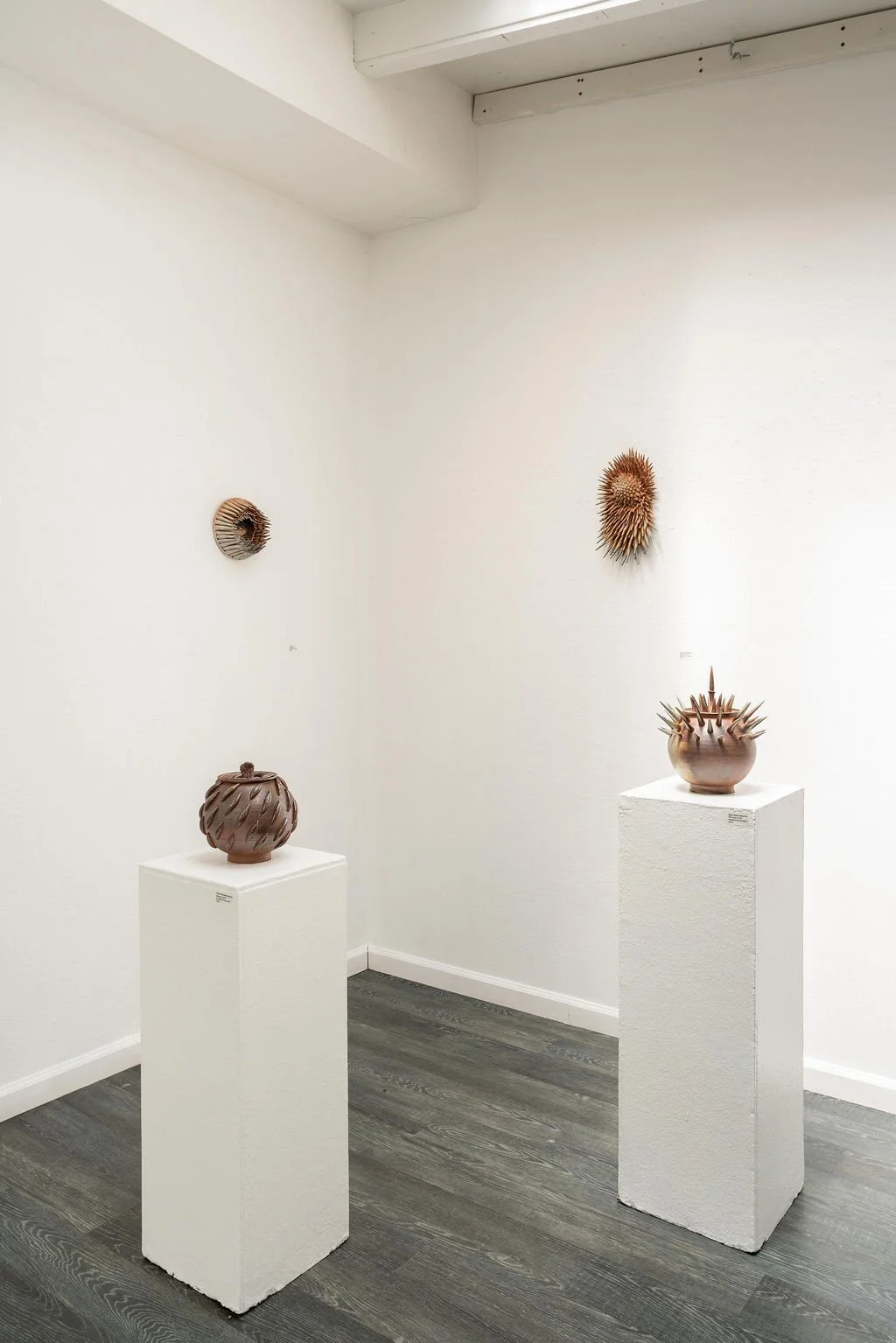 mendocino_art_center_april_2026_nik_z_photo-40.jpg
