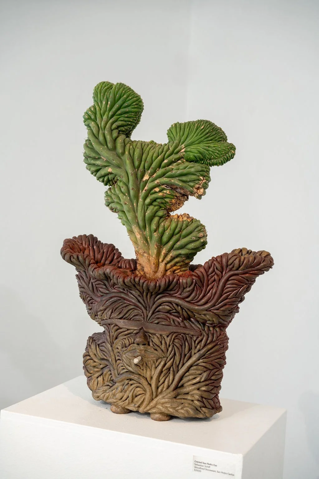 mendocino_art_center_april_2026_nik_z_photo-41.jpg