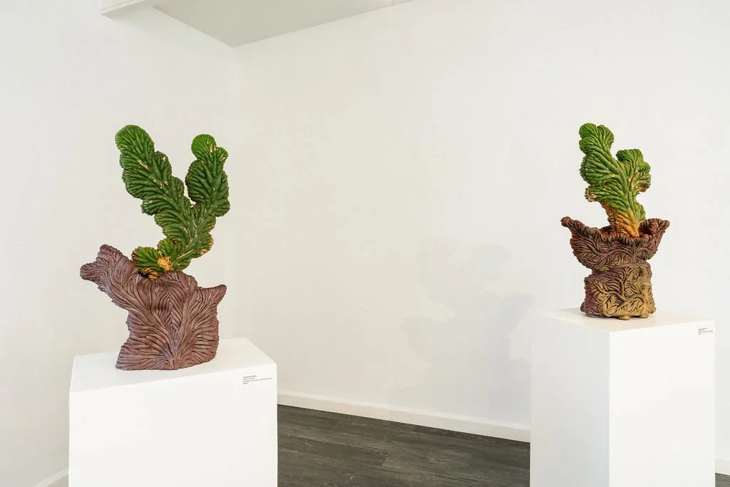 mendocino_art_center_april_2026_nik_z_photo-44.jpg