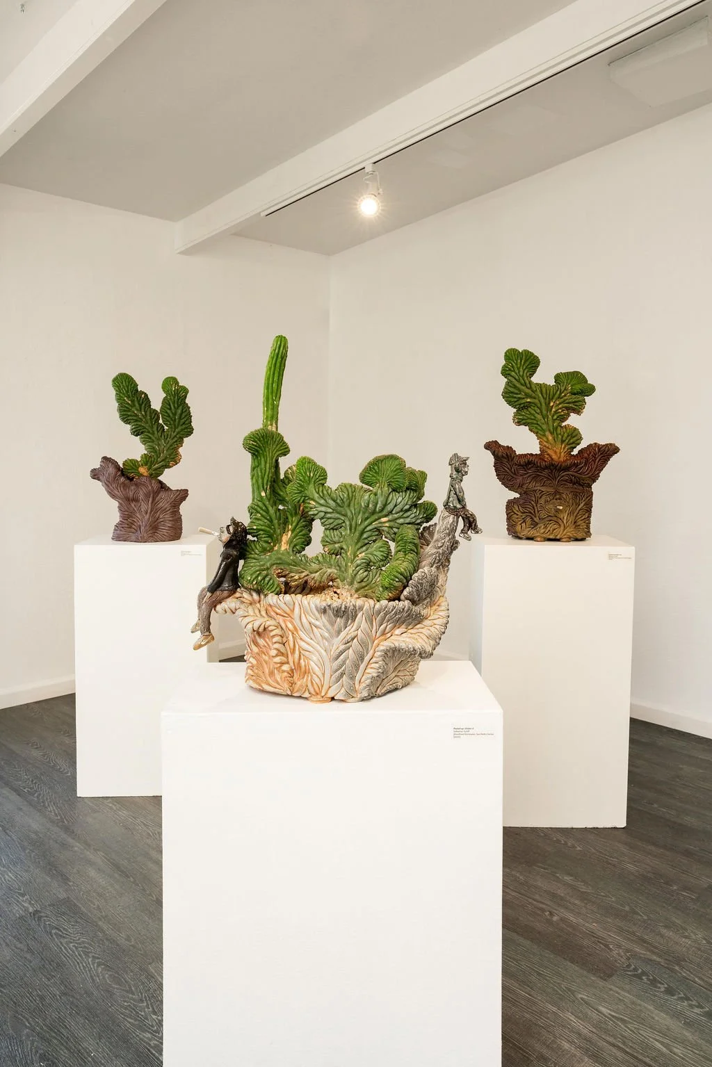 mendocino_art_center_april_2026_nik_z_photo-45.jpg