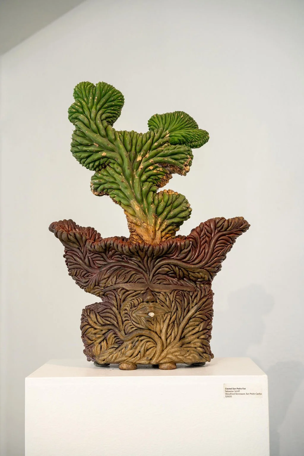 mendocino_art_center_april_2026_nik_z_photo-46.jpg
