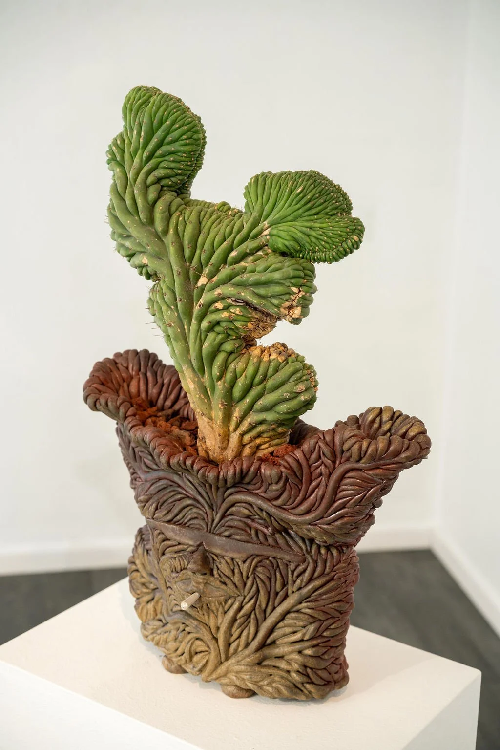 mendocino_art_center_april_2026_nik_z_photo-50.jpg