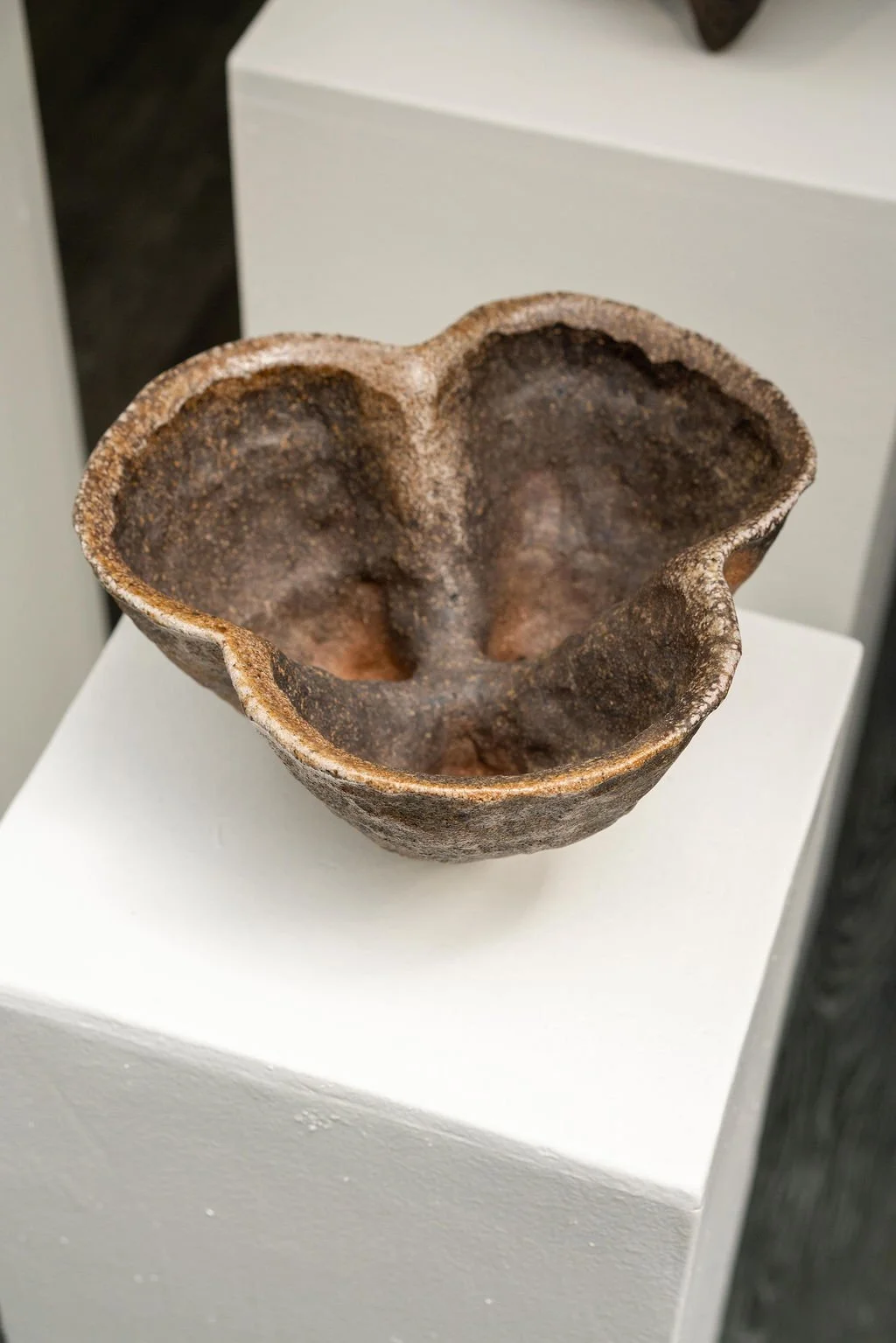 mendocino_art_center_april_2026_nik_z_photo-53.jpg