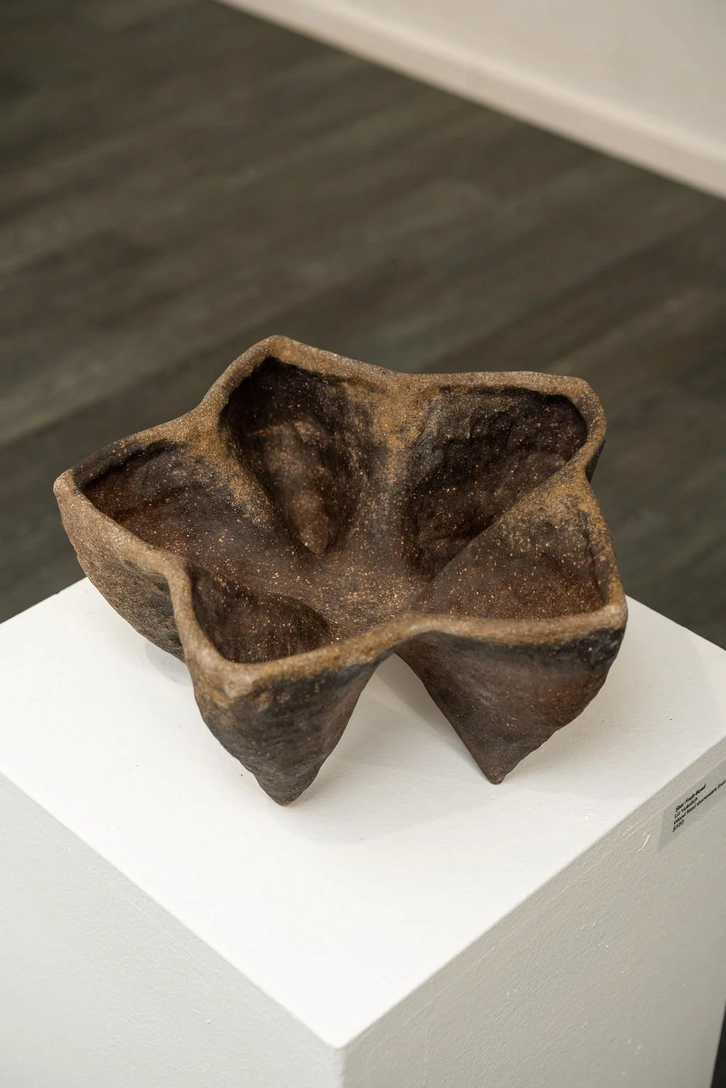 mendocino_art_center_april_2026_nik_z_photo-55.jpg