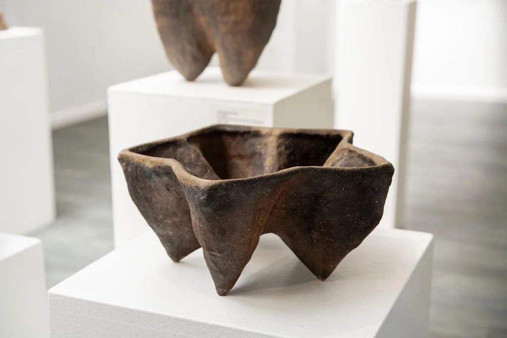 mendocino_art_center_april_2026_nik_z_photo-56.jpg
