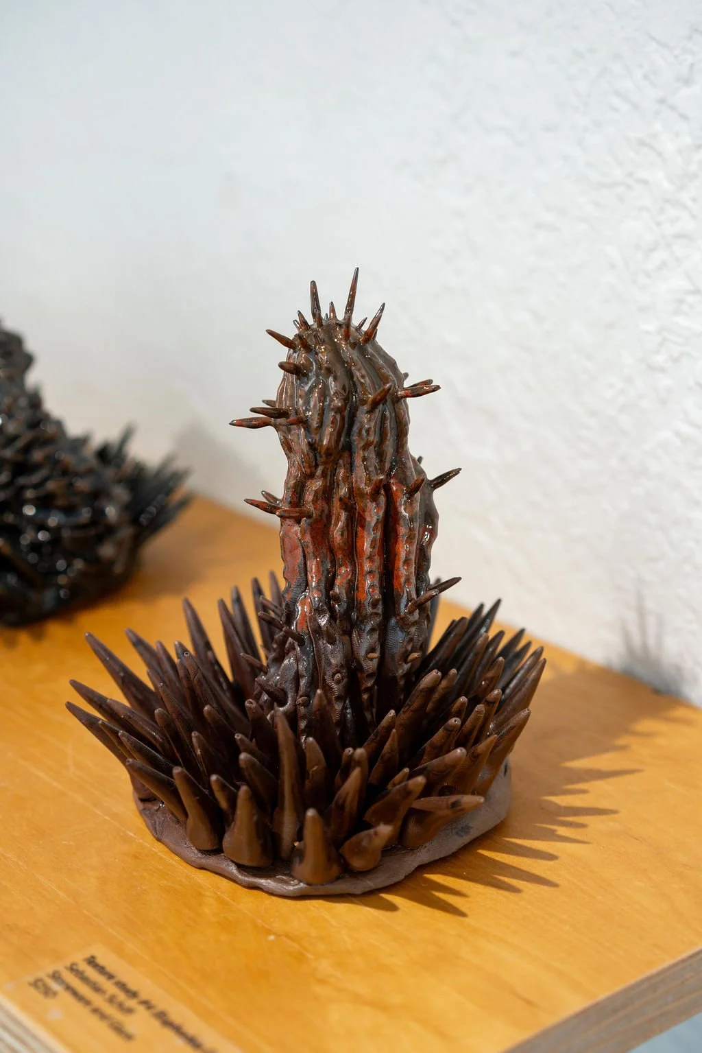 mendocino_art_center_april_2026_nik_z_photo-58.jpg