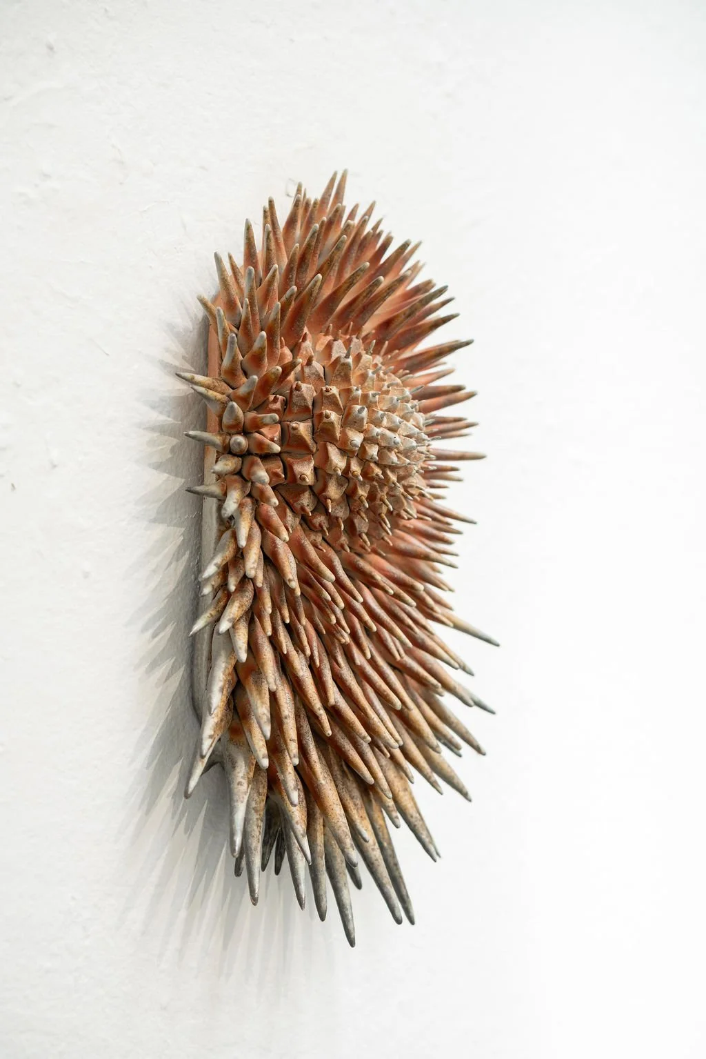 mendocino_art_center_april_2026_nik_z_photo-63.jpg