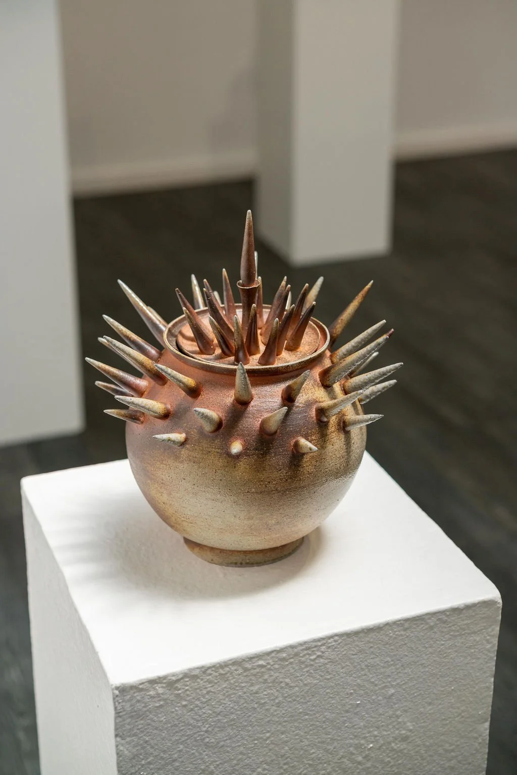 mendocino_art_center_april_2026_nik_z_photo-64.jpg