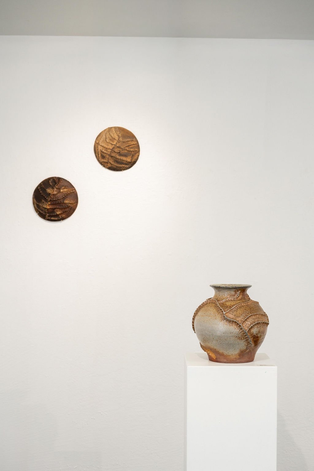 mendocino_art_center_april_2026_nik_z_photo-66.jpg