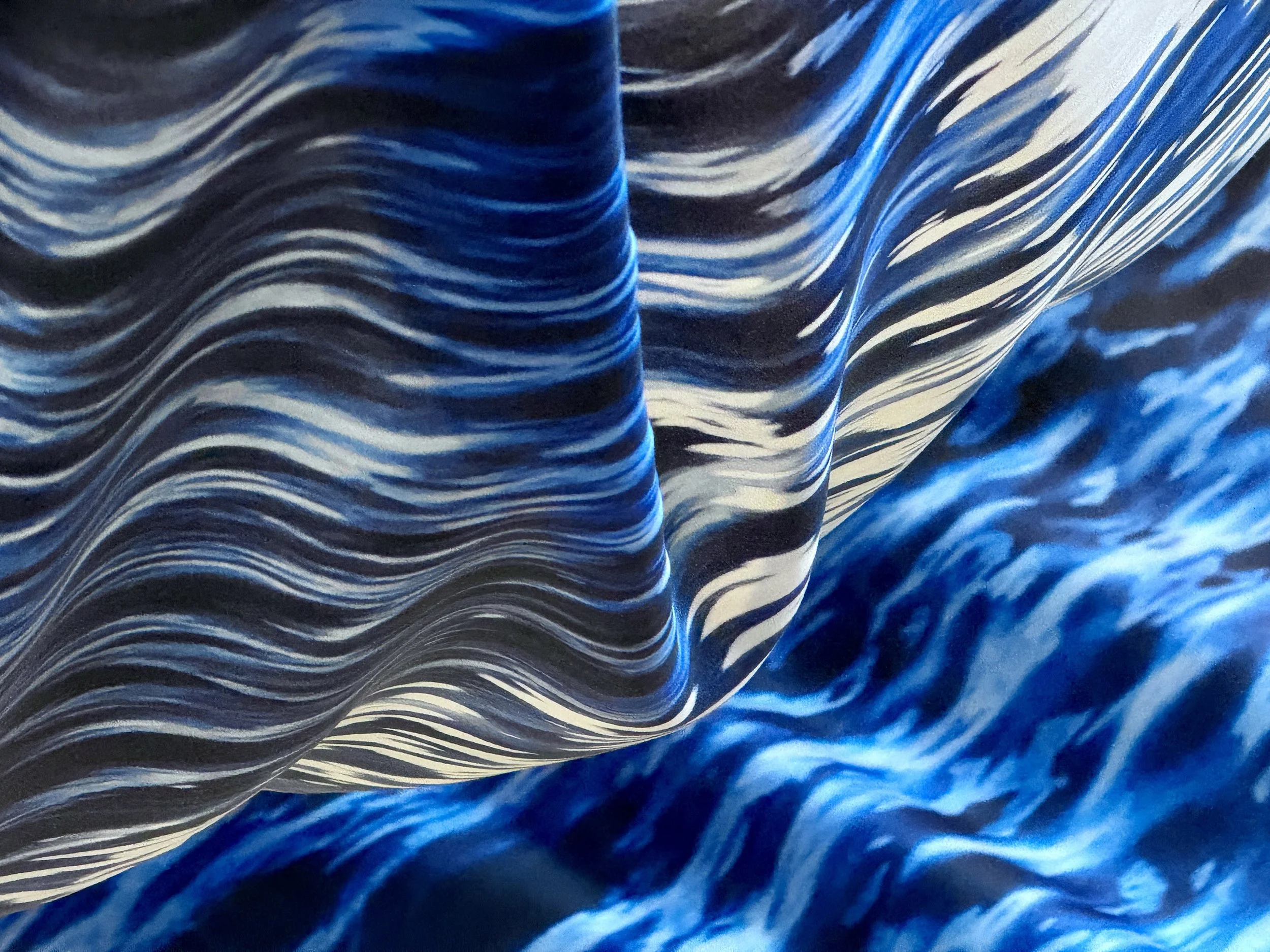 AMIE POTSIC Silk Detail 1.jpg
