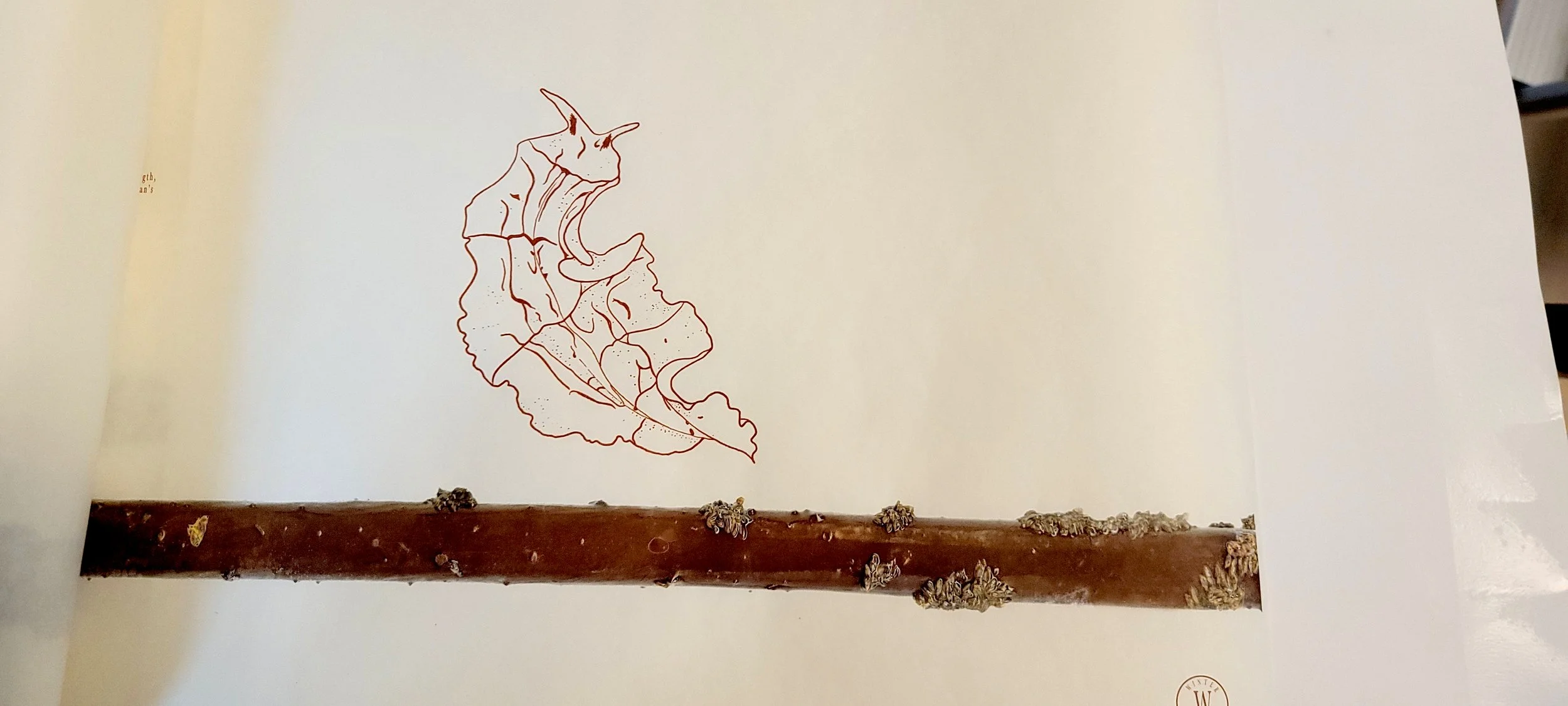Wight-Holdfast-Detail-FlatWorm.jpg