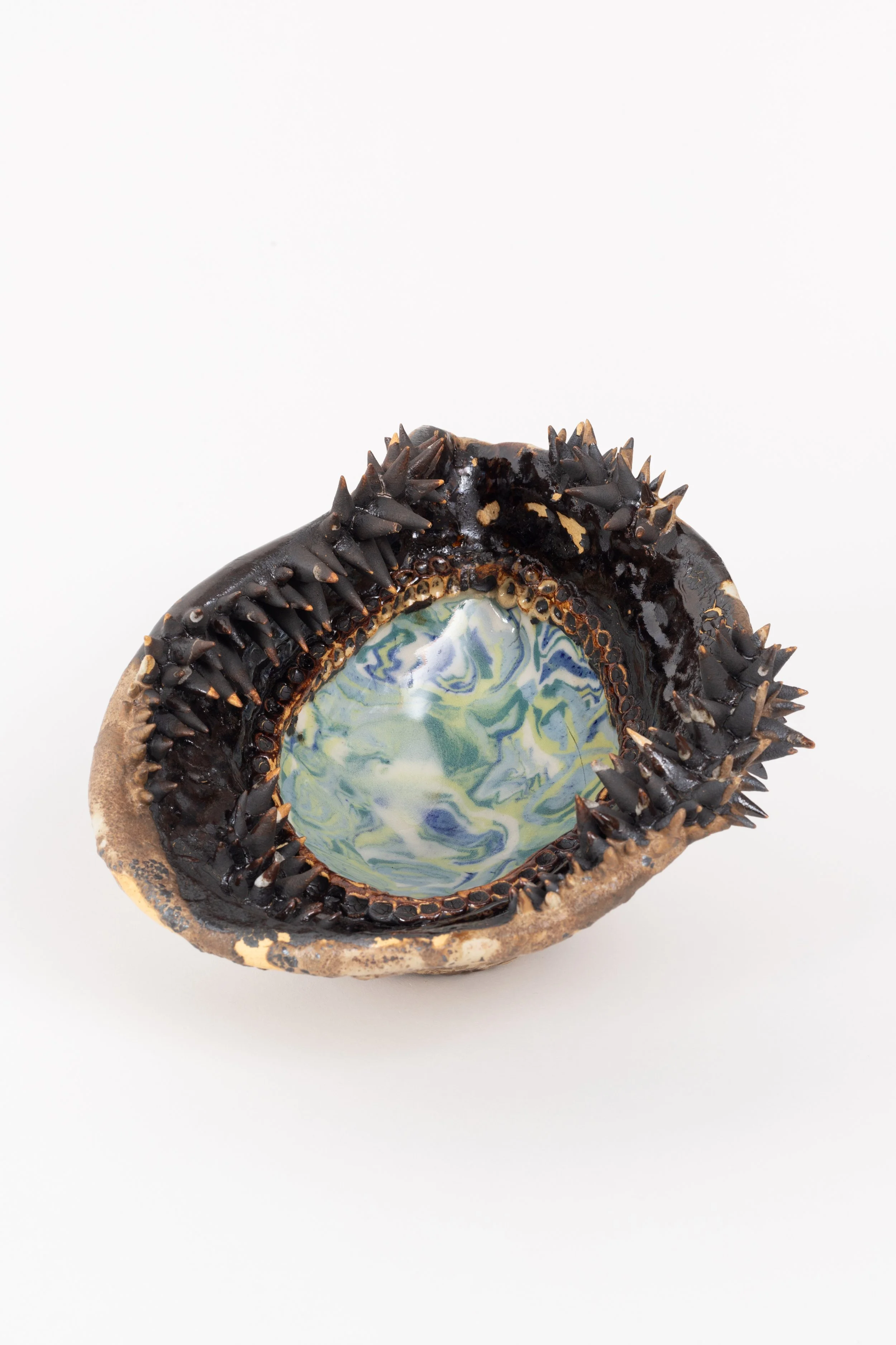 Littoral Landscapes: Intertidal-Inspired Sculptures in Clay w Kristi Chan - Jan 30 & 31st, 2027