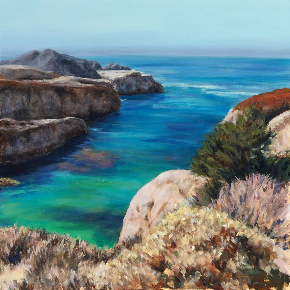 China Cove pro med size.jpg