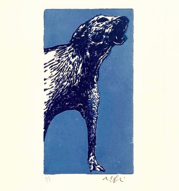 Screenshot Collins 5.png