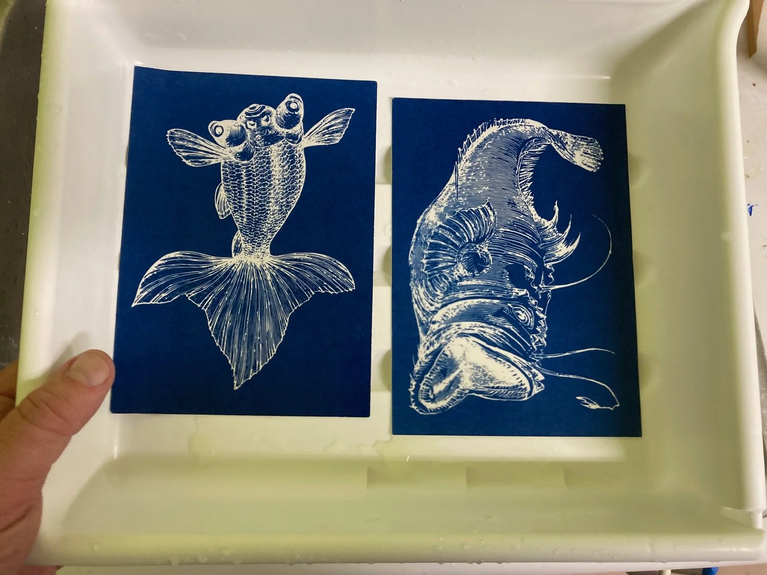 Introduction to Printing In Cyanotype with Shane Powers, MFA