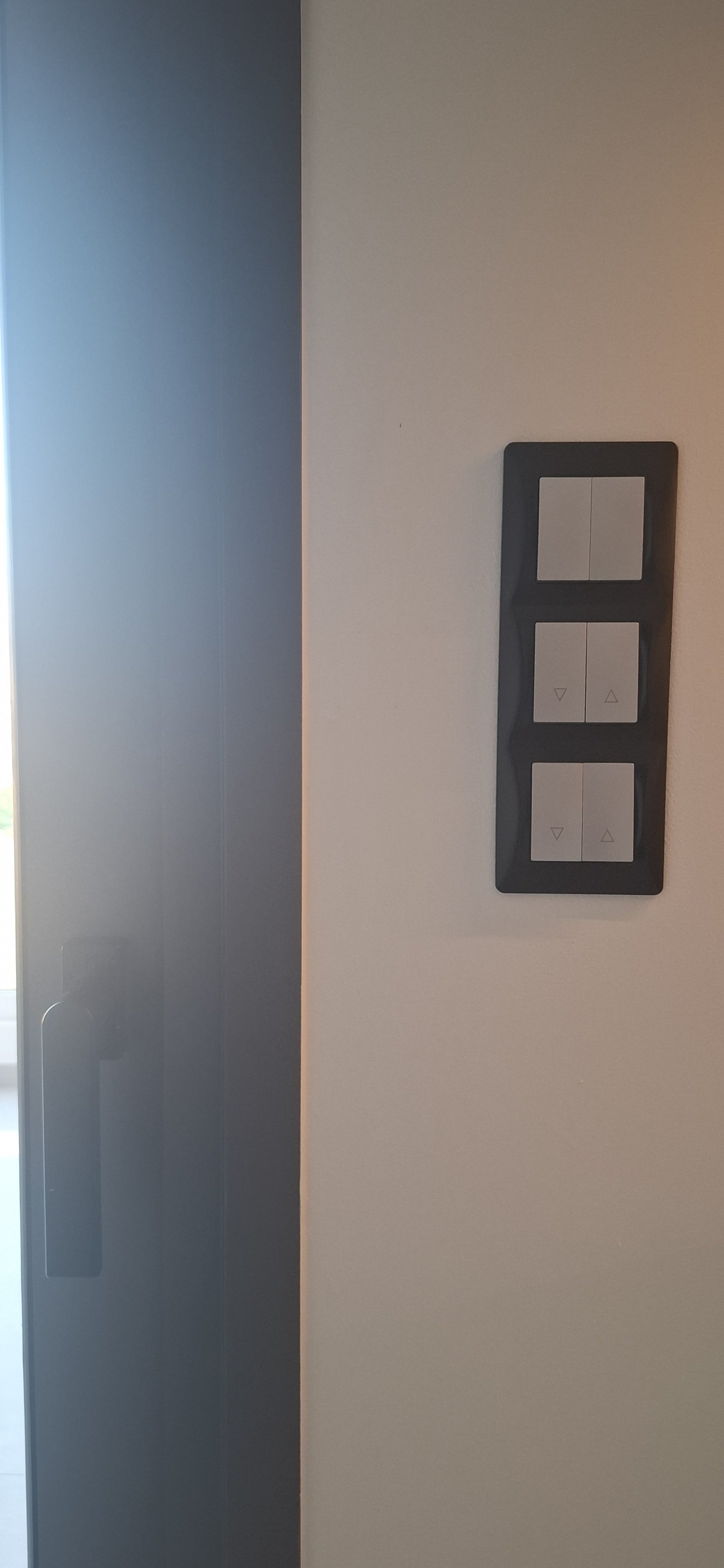 1000144049.jpg
