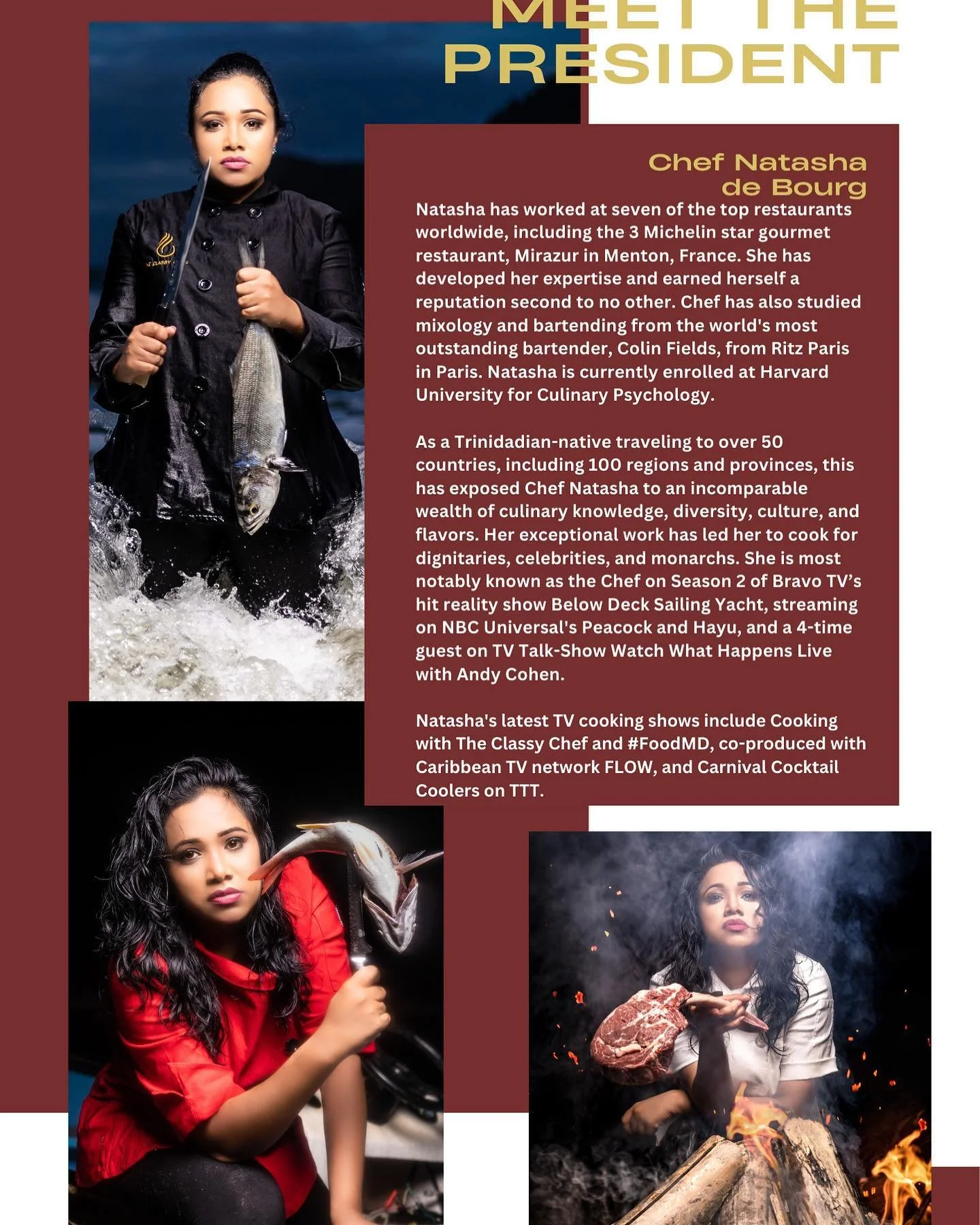 &quot;Who is Natasha De Bourg?&quot;

Executive Chef, TV Personality, Business Woman, Founder of The Classy Chef Production, and Founder and President of Trinidad Culinary Association.
Charismatic but a force to be reckoned with in the kitchen.

Nata
