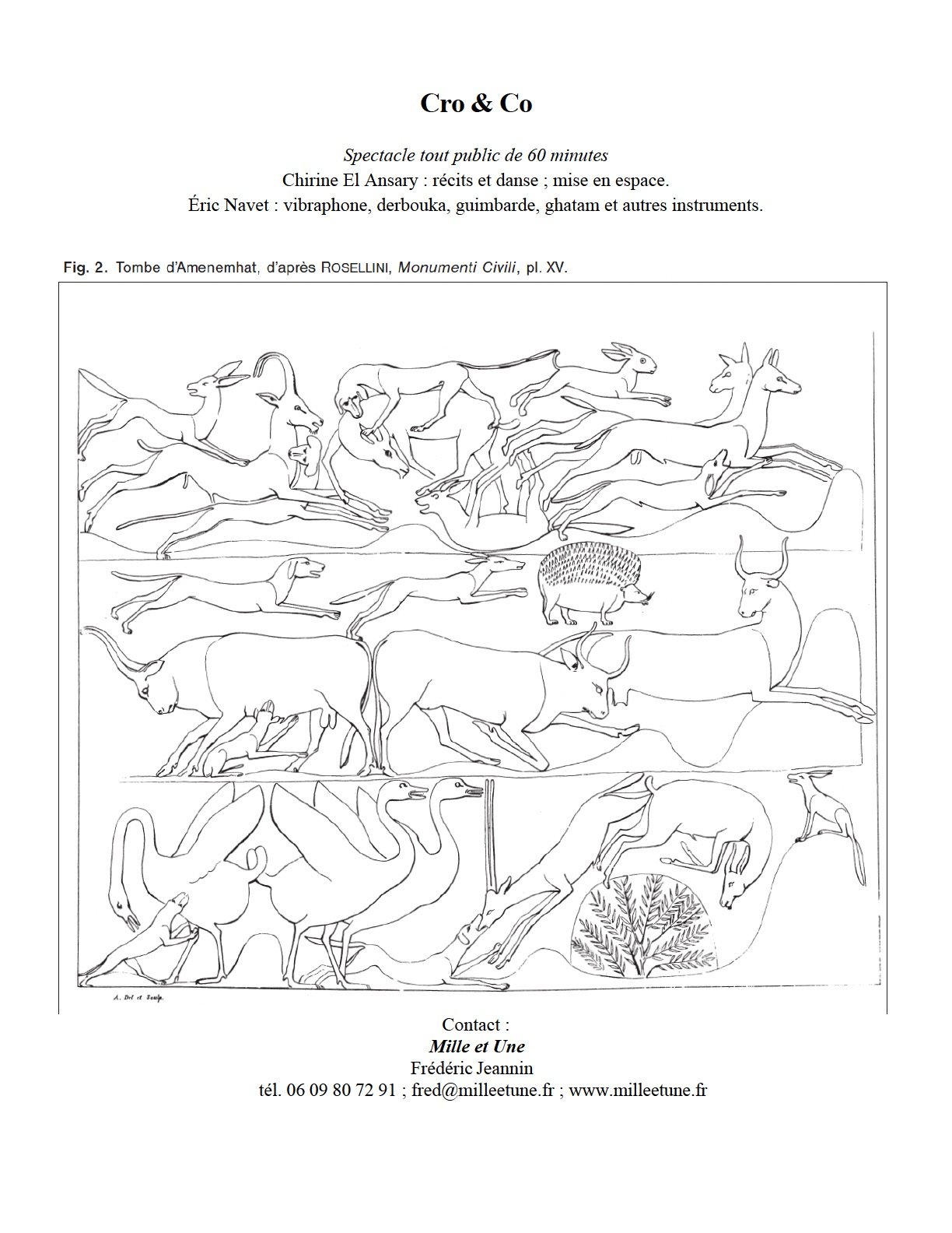 Line drawing of various animals, including horses, zebras, cows, and a hedgehog, arranged in rows, with some plants and a leaf pattern at the bottom.