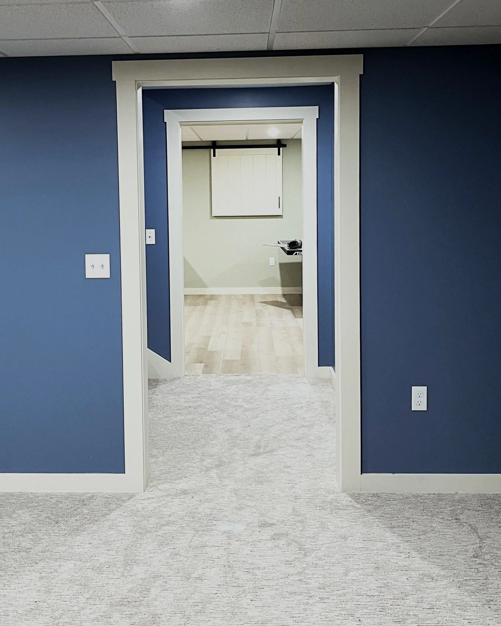 basement den remodel