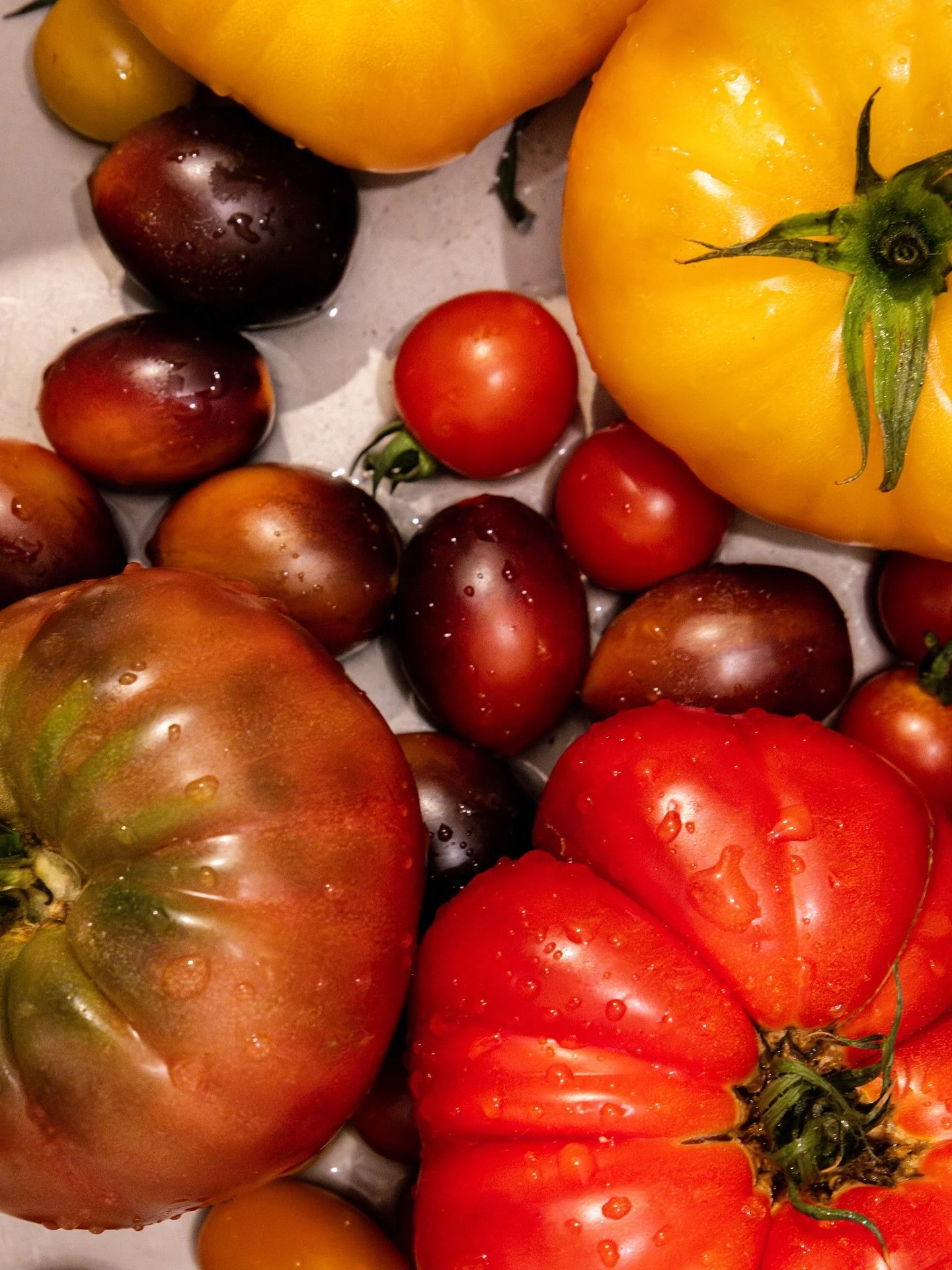 Revenez.

#photographeculinaire #photographelyon #photographegrenoble #reportagephoto #tomato #tomates