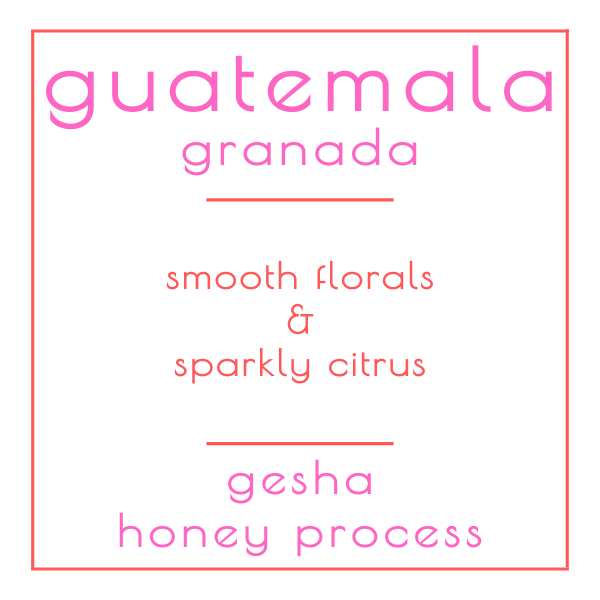 guatemala : granada
