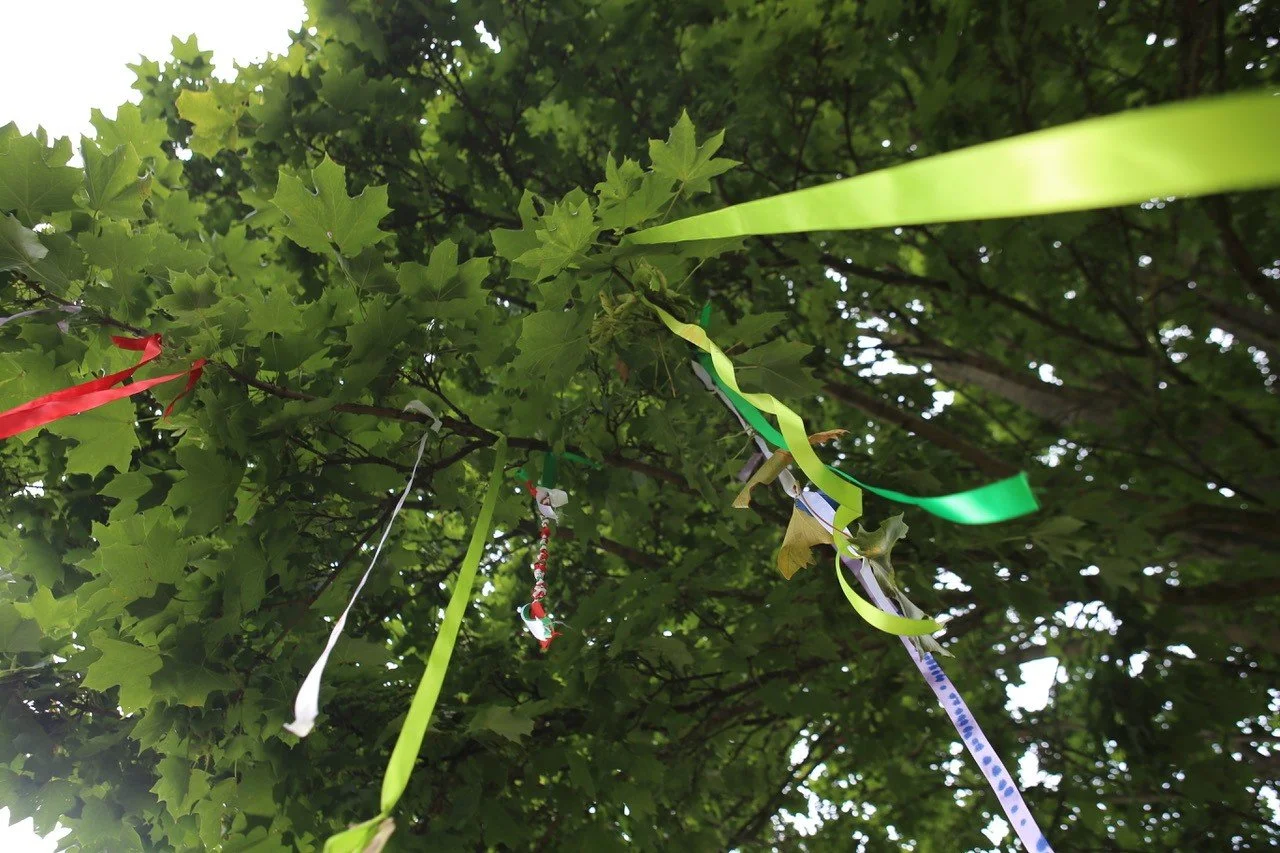 Colorful ribbons and paper strips tied to a branch of a leafy green tree, possibly for decoration or celebration.