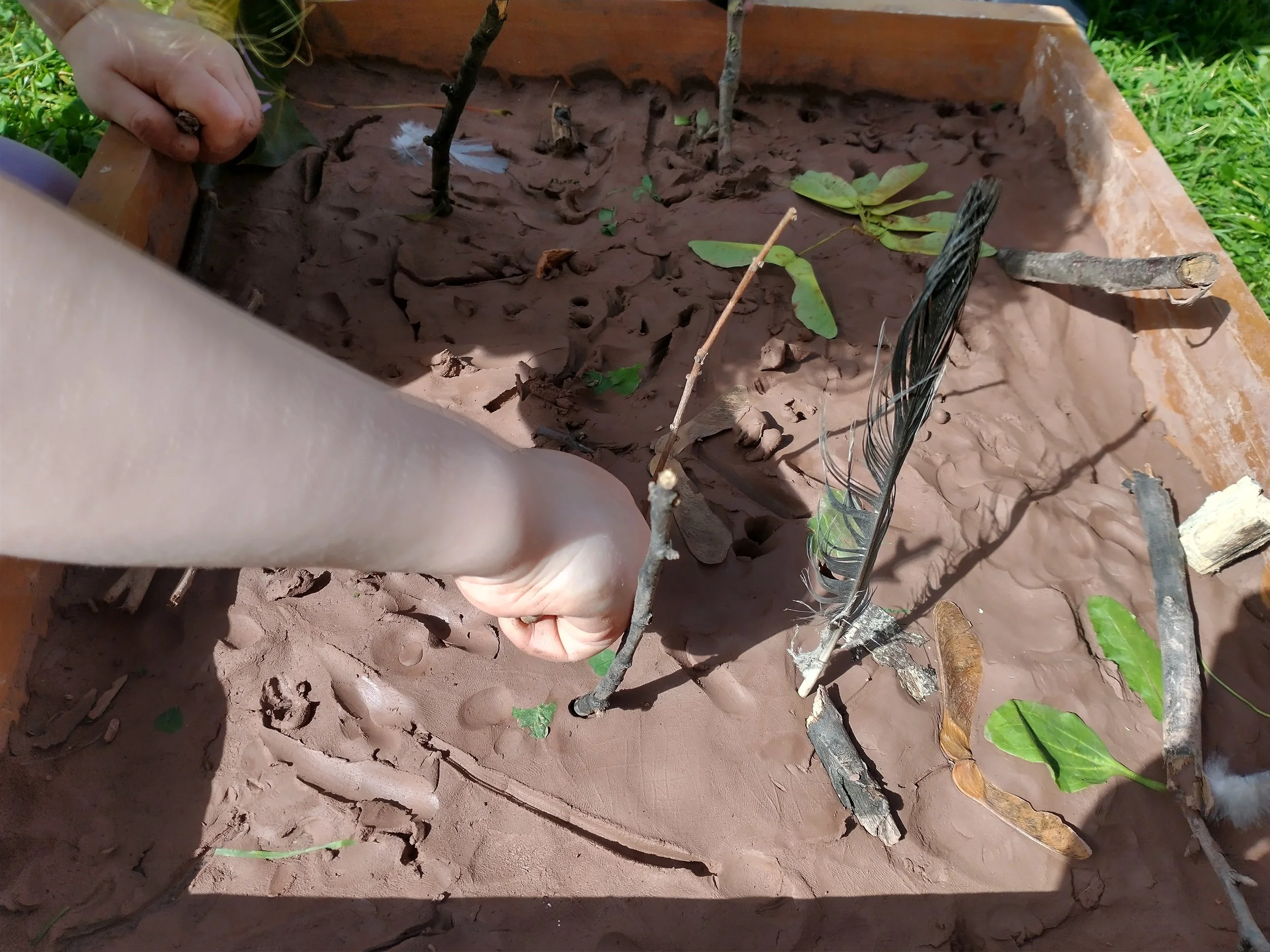 Close-up of a small garden bed with young plants, sticks, and feathers, with a person's hand planting a small stick.