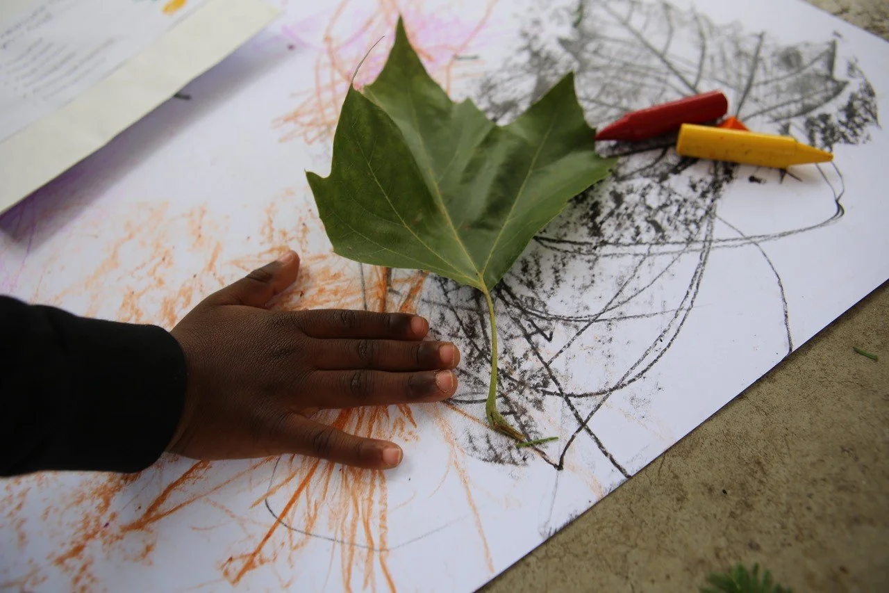 Child's hand resting on a white sheet of paper with scribbles and drawings, a large green leaf, and red and yellow crayons.