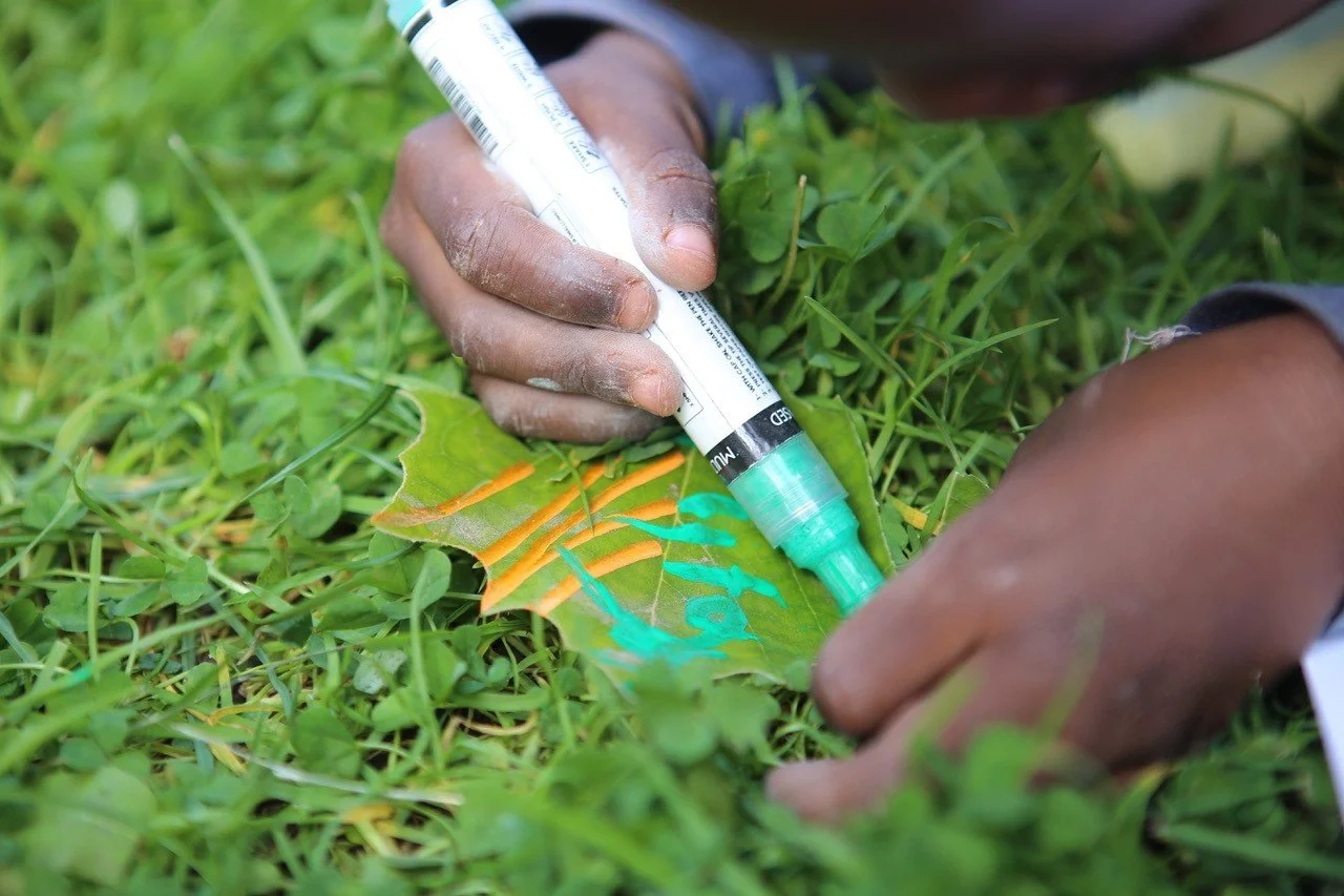 A person drawing on a green leaf with colorful markers on grass.