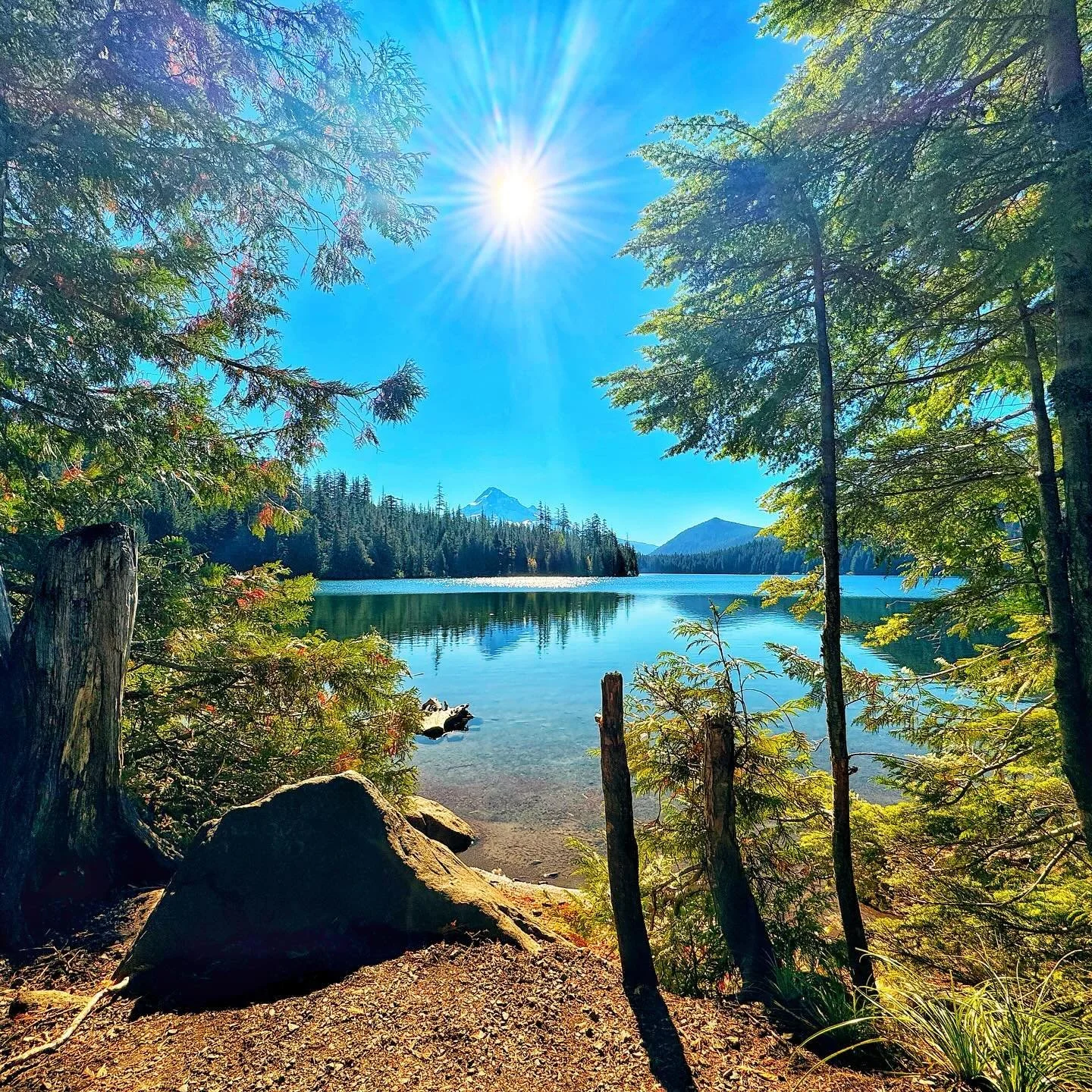 I&rsquo;m headed into another busy travel season between conferences, work planning, and treaty negotiations! And while it&rsquo;s fun to explore the amazing places work takes me, I&rsquo;m extra grateful for a last minute camping trip to Lost Lake t