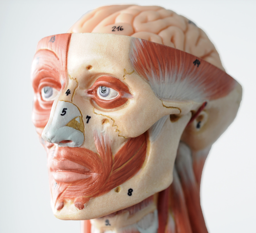 Screenshot 2024-11-20 at 4.49.55 PM.png