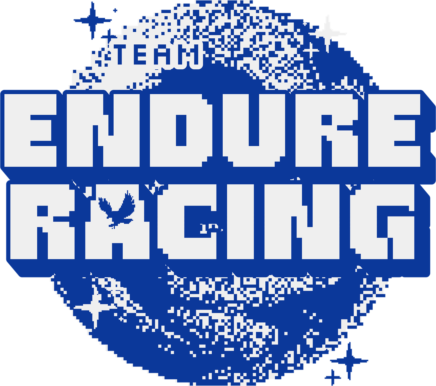 TEAM ENDURE RACING