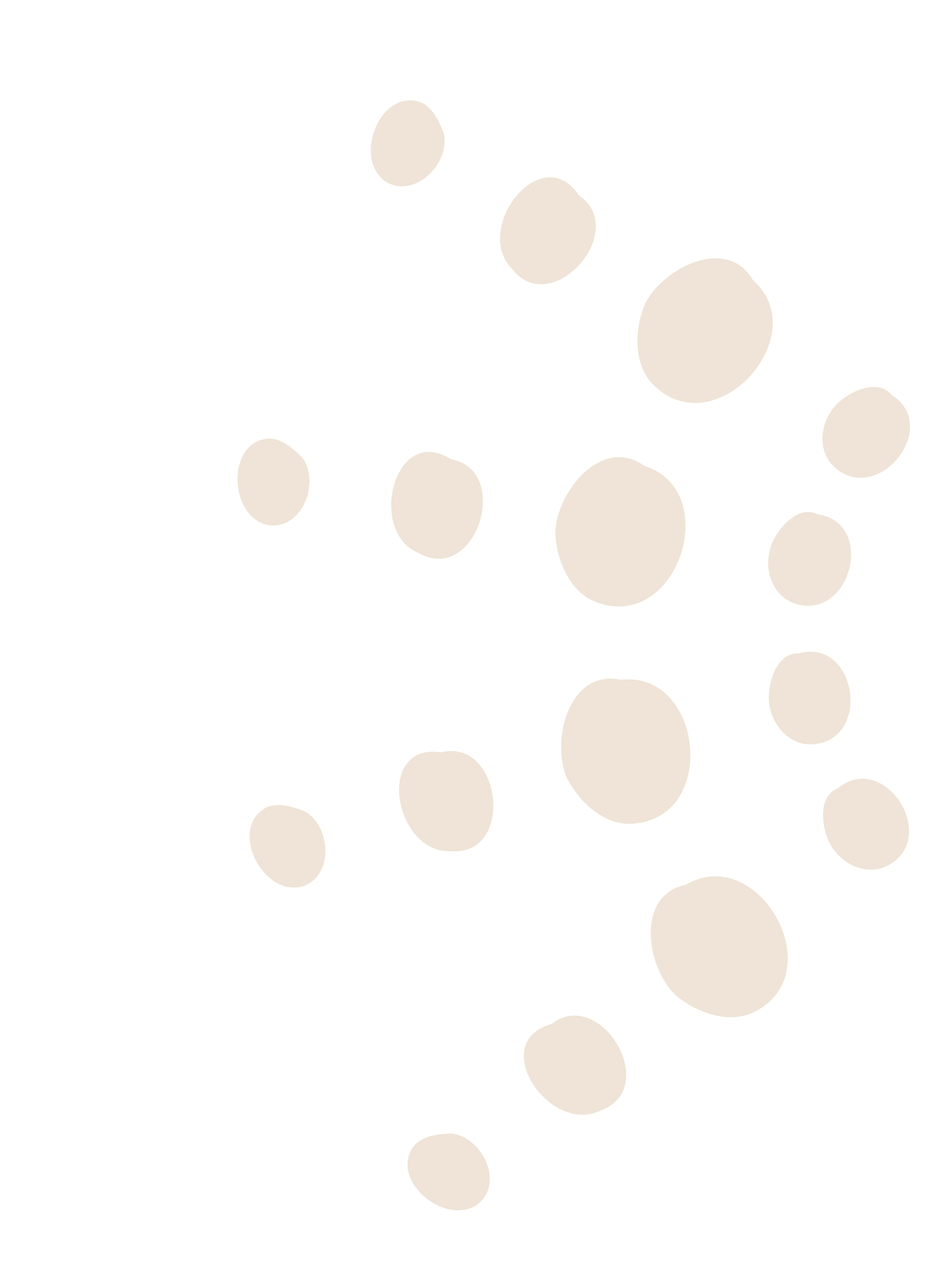 Illustration inspired by Taíno art