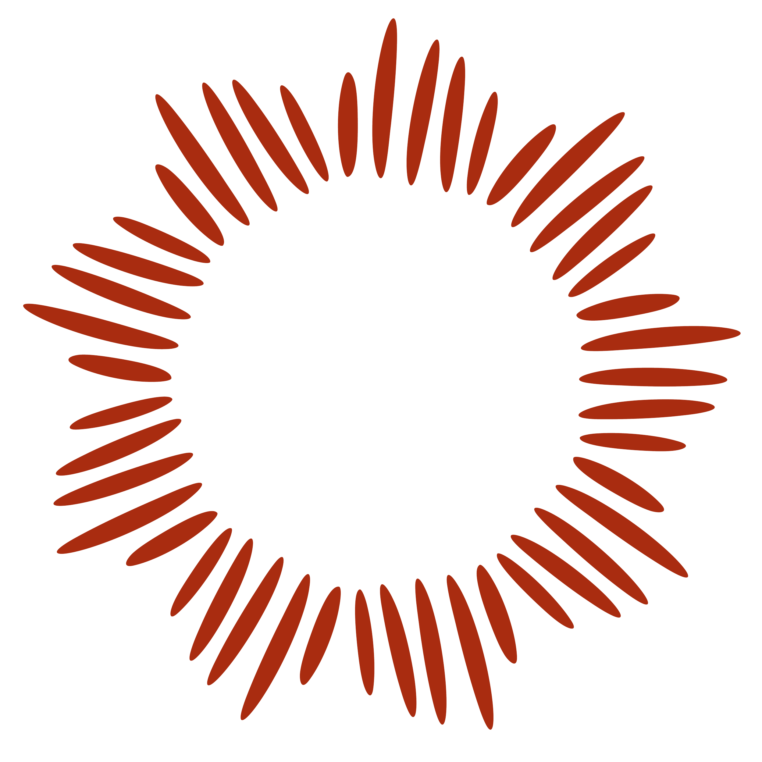 Illustration of a circular pattern inspired by Taíno art