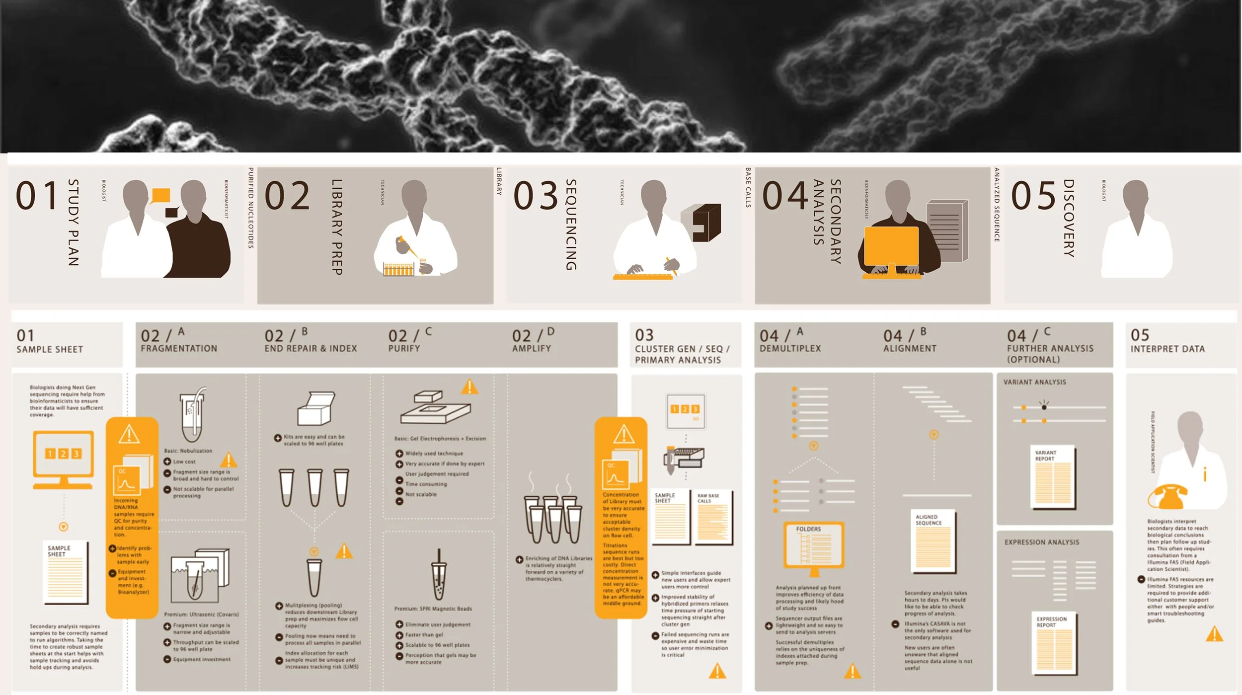 Illumina scientific research process map,  including steps like study plan, library prep, sequencing, secondary analysis, and discovery,