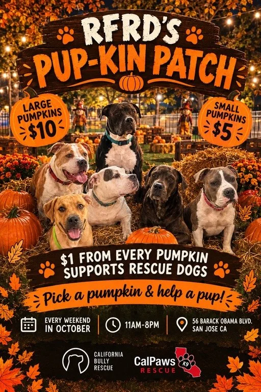 Pumpkin Patch at RFRD! 