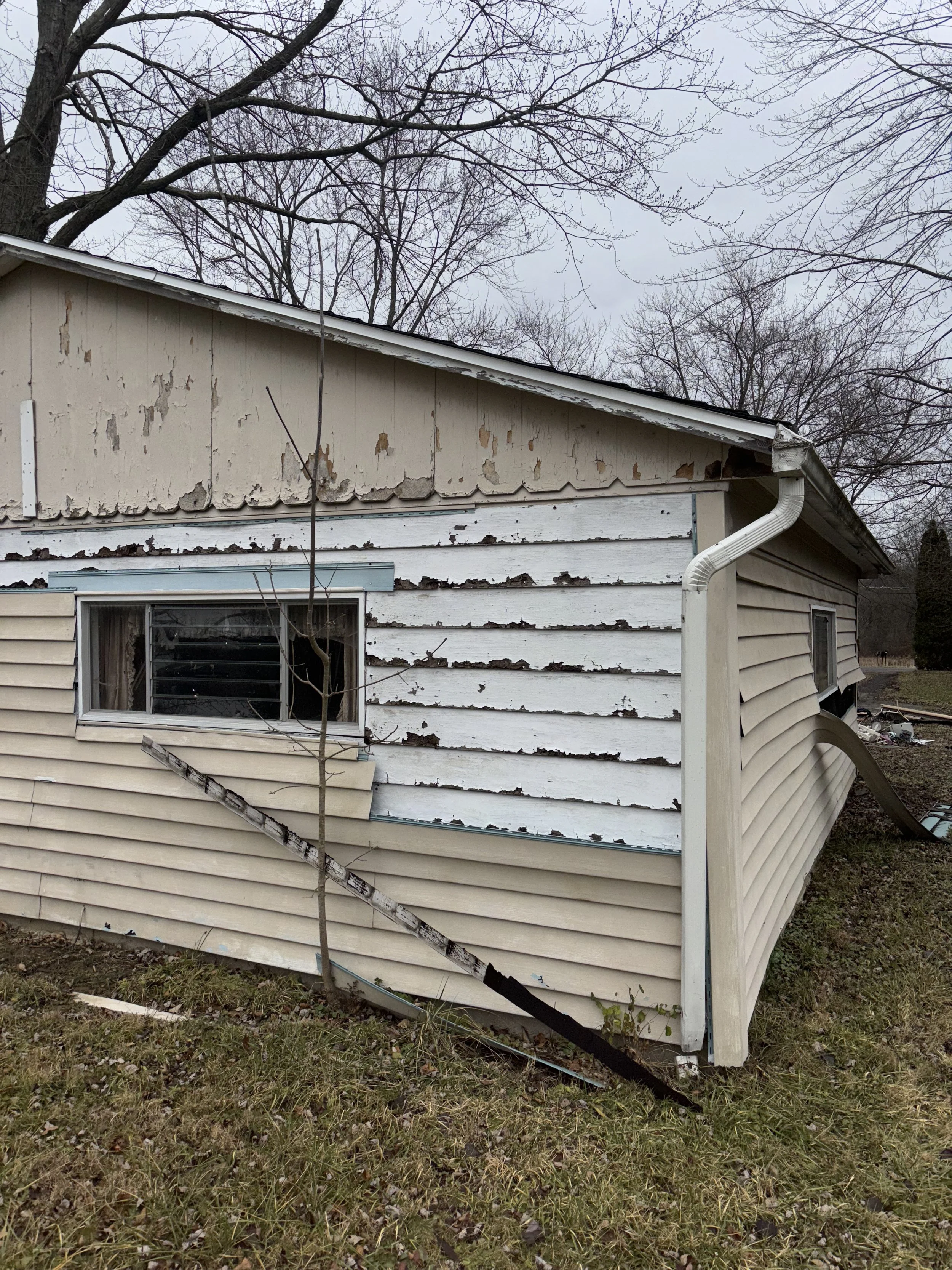 Photo Dec 19 2024, 4 17 13 PM.jpg