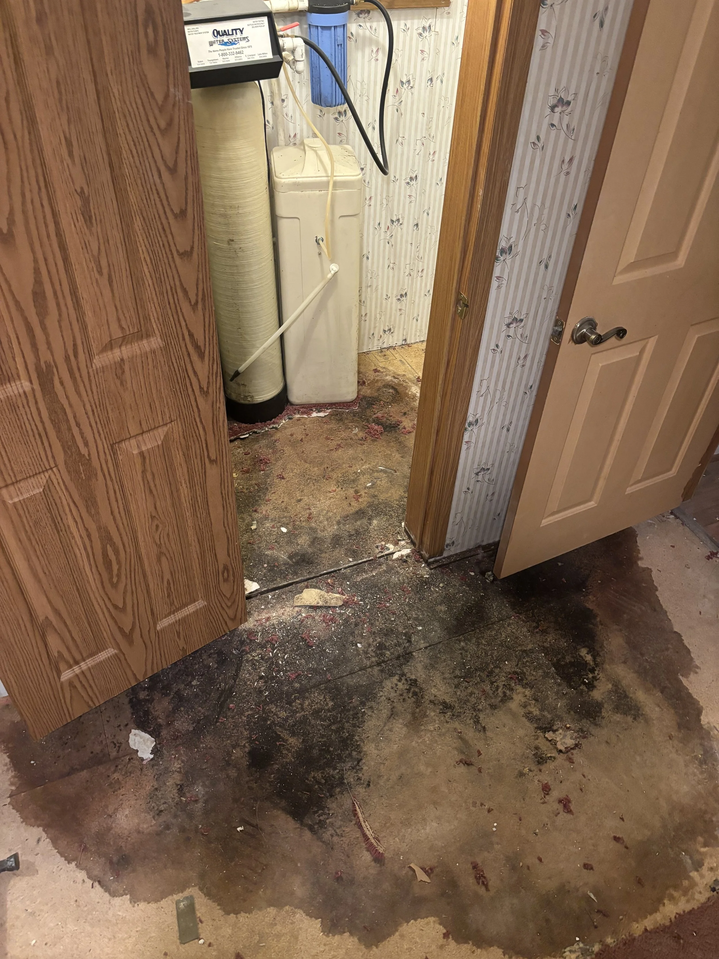 Photo Dec 30 2024, 6 43 23 PM.jpg