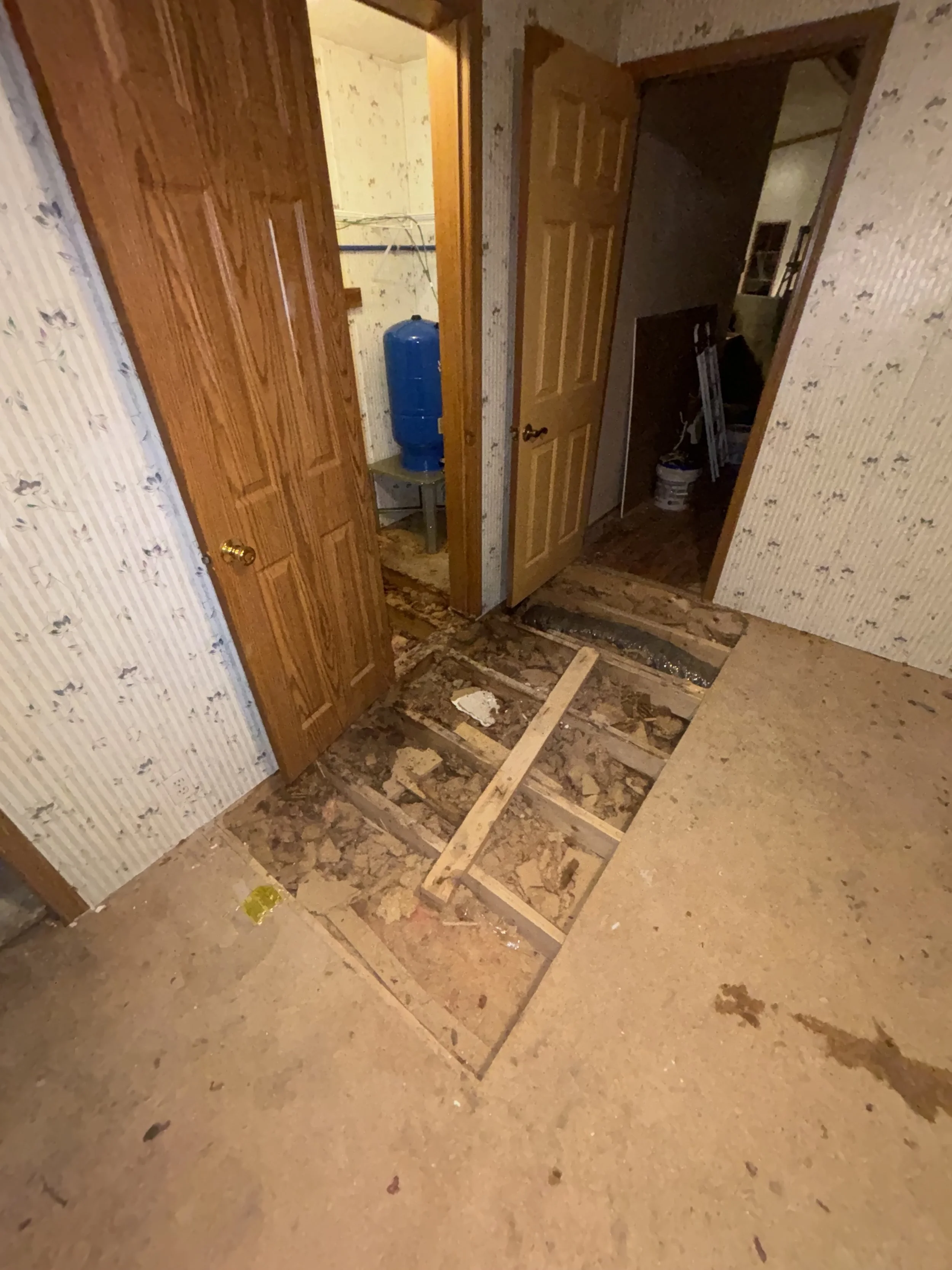 Photo Jan 05 2025, 8 43 10 PM.jpg