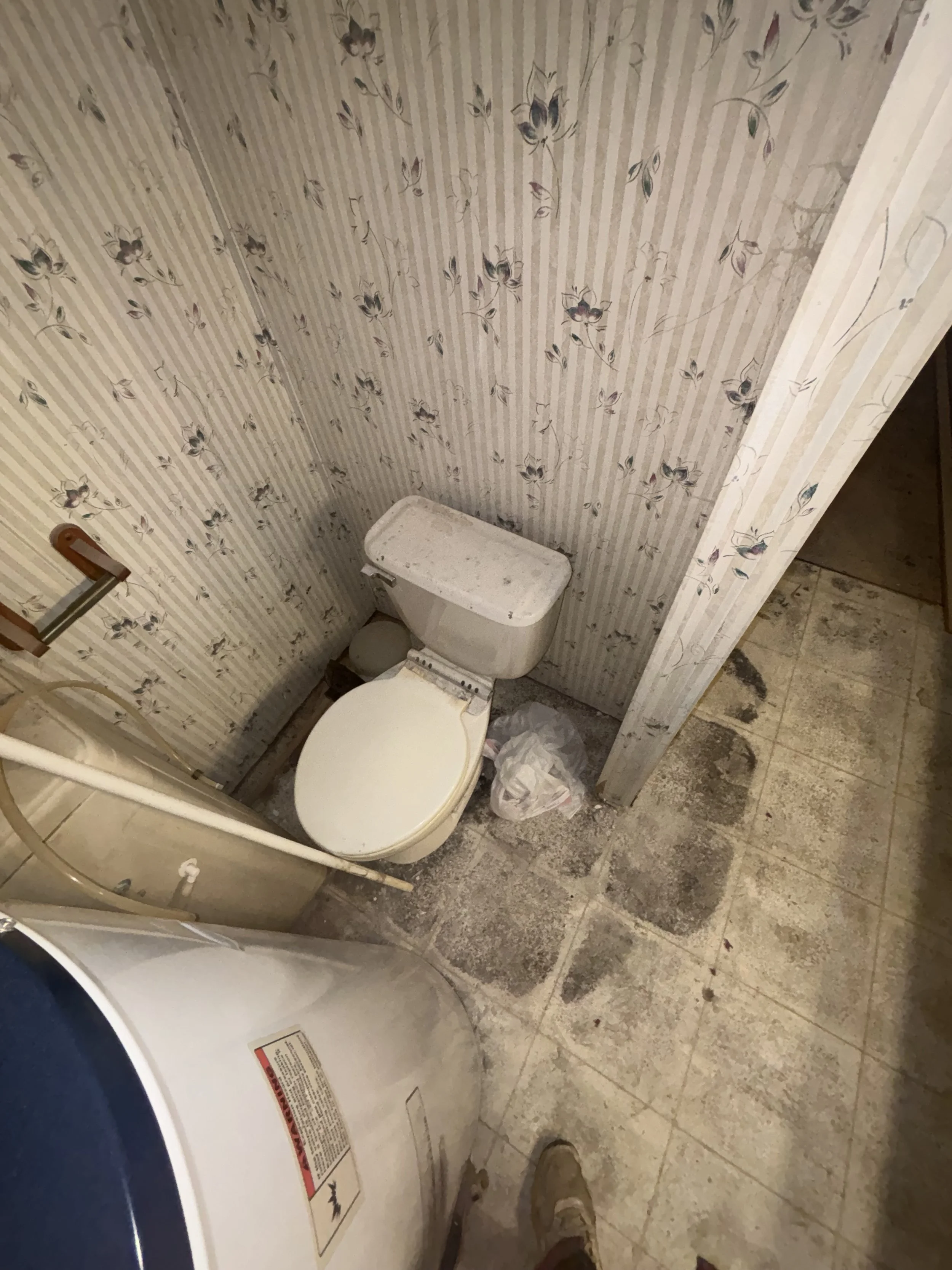 Photo Jan 05 2025, 8 45 53 PM.jpg