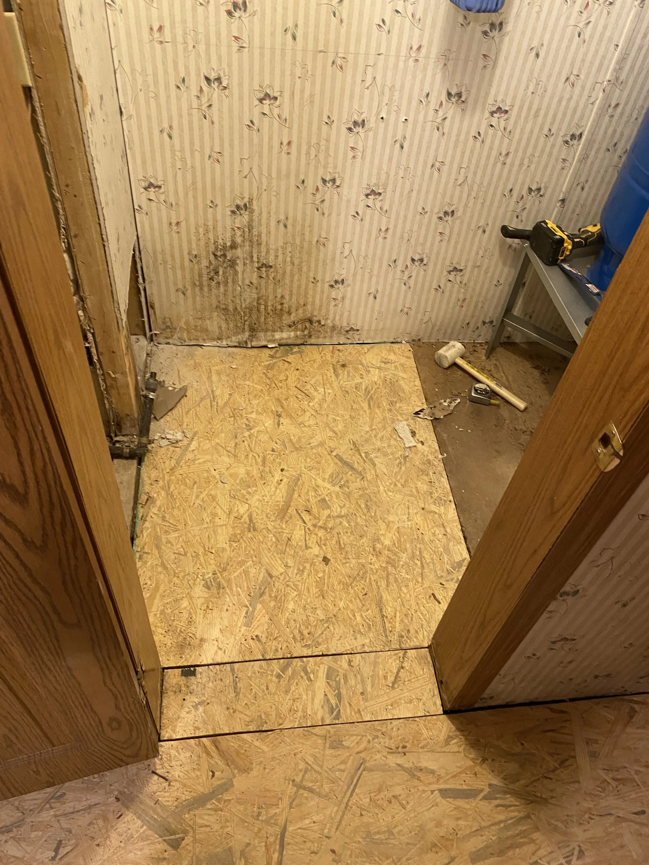 Photo Jan 07 2025, 10 46 21 PM.jpg