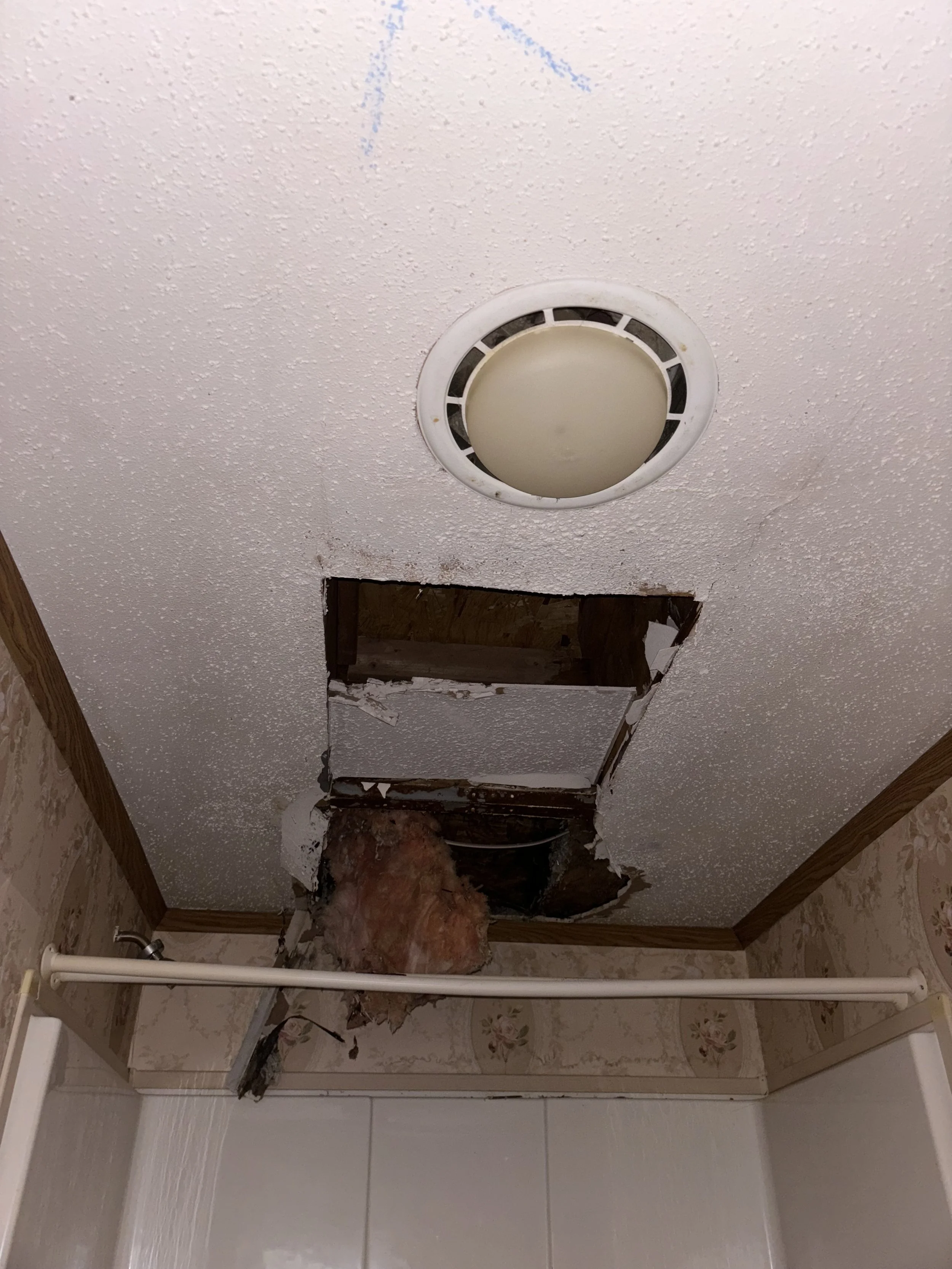 Photo Dec 19 2024, 3 57 41 PM.jpg